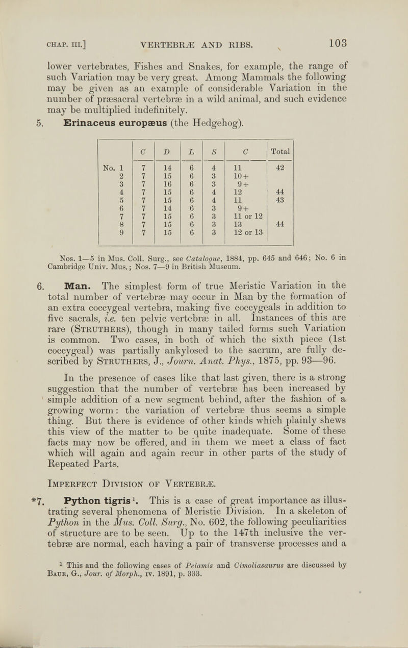 chap. iii.] VERTEBRA AND RIBS. 103 lower vertebrates, Fishes and Snakes, for example, the range of such Variation may be very great. Among Mammals the following may be given as an example of considerable Variation in the number of prœsacral vertebrae in a wild animal, and such evidence may be multiplied indefinitely. 5. Erinaceus europaeus (the Hedgehog). Nos. 1—5 in Mus. Coll. Surg., see Catalogue, 1884, pp. 645 and 646 ; No. 6 in Cambridge Univ. Mus. ; Nos. 7—9 in British Museum. 6. Man. The simplest form of true Meristic Variation in the total number of vertebrae may occur in Man by the formation of an extra coccygeal vertebra, making five coccygeals in addition to five sacrais, i.e. ten pelvic vertebrae in all. Instances of this are rare (Struthers), though in many tailed forms such Variation is common. Two cases, in both of which the sixth piece (1st coccygeal) was partially ankylosed to the sacrum, are fully de¬ scribed by Struthers, J., Journ. Anat. Phys., 1875, pp. 93—96. In the presence of cases like that last given, there is a strong suggestion that the number of vertebrae has been increased by ' simple addition of a new segment behind, after the fashion of a growing worm : the variation of vertebrae thus seems a simple thing. But there is evidence of other kinds which plainly shews this view of the matter to be quite inadequate. Some of these facts may now be offered, and in them we meet a class of fact which will again and again recur in other parts of the study of Repeated Parts. Imperfect Division of Vertebra. *7. Python tigrish This is a case of great importance as illus¬ trating several phenomena of Meristic Division. In a skeleton of Python in the Mus. Coll. Surg., No. 602, the following peculiarities of structure are to be seen. Up to the 147th inclusive the ver¬ tebrae are normal, each having a pair of transverse processes and a ^ This and the following cases of Pelamis and Cimoliasaurus are discussed by Baue, G., Jour, of Morph., iv. 1891, p. 333.