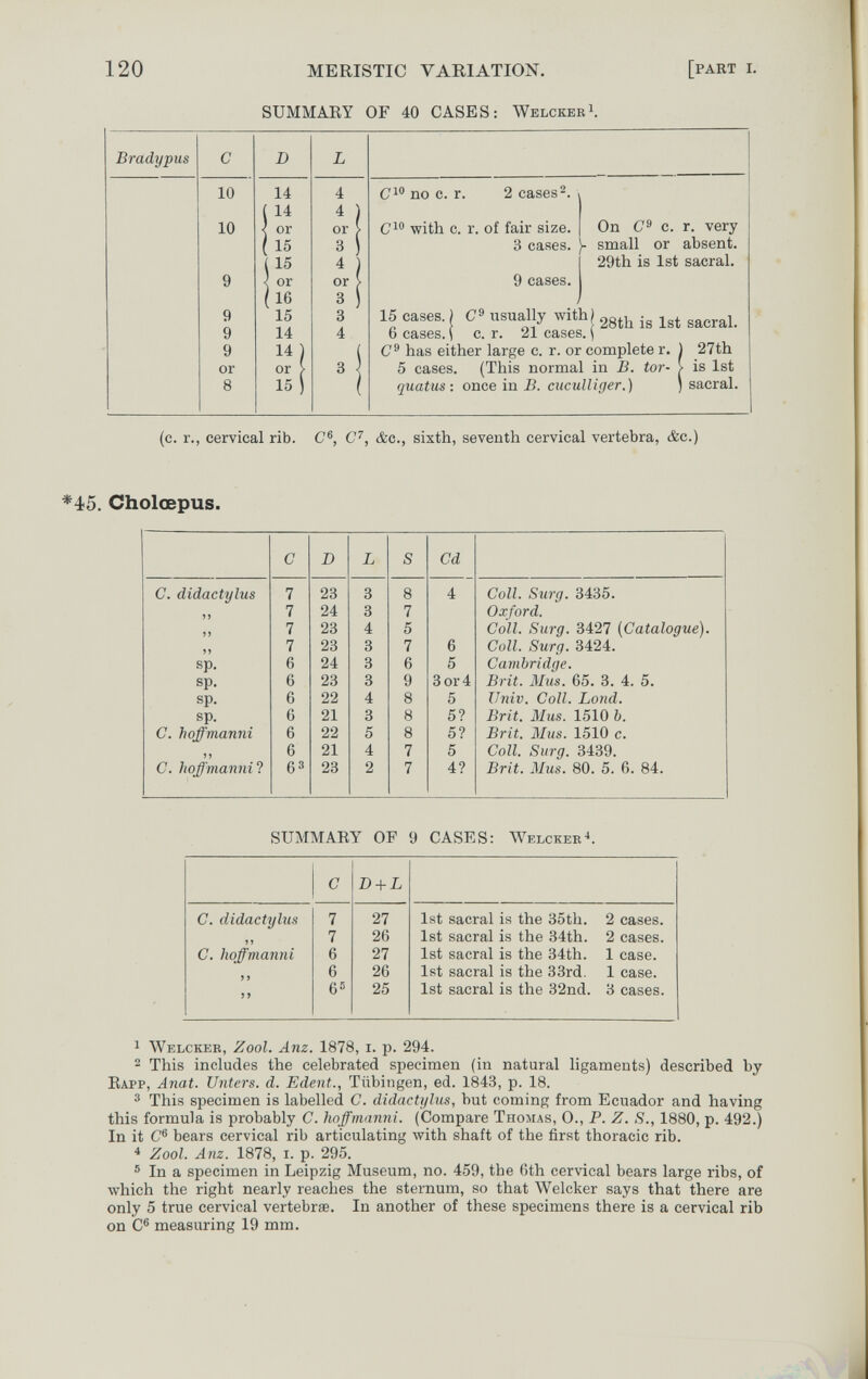 120 MERISTIC VARIATION. SUMMARY OF 40 CASES: WelckebI. [part i. Bradypus D 10 10 9 9 9 or 8 Ci® no c. r. 2 cases 2. with c. r. of fair size. On c. r. very 3 cases. small or absent. 29th is 1st sacral. 9 cases. 15 cases. ) usually with) 23^, is 1st sacral. 6 cases, i с. г. 21 cases. \ С® has either large c. r. or complete r. ) 27th 5 cases. (This normal in B. tor- > is 1st quatus: once in B. cuculUger.) ) sacral. (c. г., cervical rib. C®, C, &c., sixth, seventh cervical vertebra, &c.) *45. Cholœpus. SUMMARY OF 9 CASES: WEbCKER-». 1 Welcker, Zool. Anz. 1878, i. p. 294. 2 This includes the celebrated specimen (in natural ligaments) described by Rapp, Anat. Unters, d. Edent., Tübingen, ed. 1843, p. 18. 3 This specimen is labelled C. didactylus, but coming from Ecuador and having this formula is probably C. hoffmanni. (Compare Thomas, 0., P. Z. S., 1880, p. 492.) In it C® bears cervical rib articulating with shaft of the first thoracic rib. ^ Zool. Anz. 1878, I. p. 295. ® In a specimen in Leipzig Museum, no. 459, the 6th cervical bears large ribs, of which the right nearly reaches the sternum, so that Welcker says that there are only 5 true cervical vertebrœ. In another of these specimens there is a cervical rib on C® measuring 19 mm.