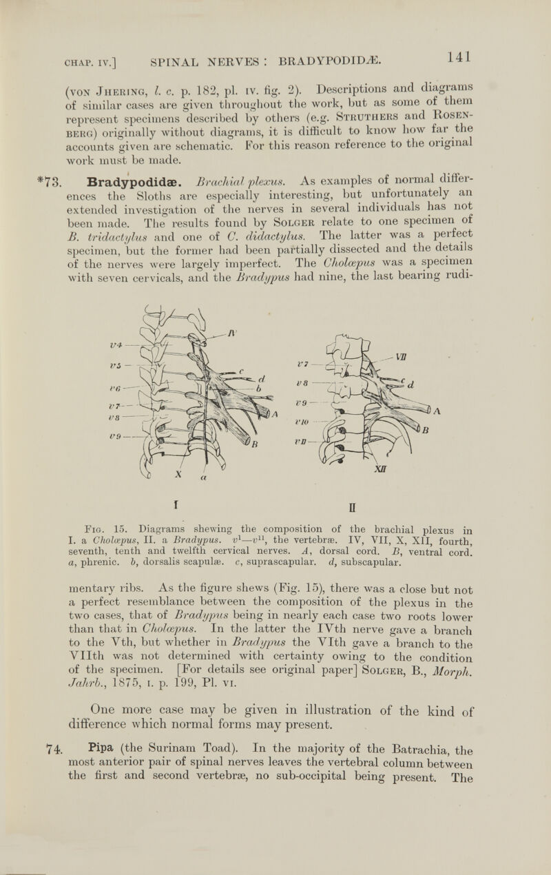 снлр. iv.] Ö14XAL NERVES : BRADYPODID^í. (von Jhering, i. g. p. 182, pl. iv. fig. 2). Descriptions and diagrams of similar cases are given throughout the work, but as some of them represent specimens described by others (e.g. Struthers and Rosen¬ berg) originally without diagrams, it is difficult to know liow far the accounts given are schematic. РЪг this reason reference to the original work nmst be made. *73. Bradypodidae. Brachial flexus. As examples of normal differ¬ ences the Sloths are especially interesting, but unfortunately an extended investigation of the nerves in several individuals has not been made. The results found by Solger relate to one specimen of B. tridactylus and one of C. didactylus. The latter was a pei'fect specimen, but the former had been partially dissected and the details of the nerves were largely imperfect. The Cholœpus was a specimen with seven cervicals, and tiie Bradijpus had nine, the last bearing rudi- I П Fig. 15. Diagrams shewing the composition of the brachial plexus in I. a Cholœpus, II. a Bradypus. the vertebrae. IV, VII, X, XII, fourth seventh, tenth and twelfth cervical nerves. A, dorsal cord. B, ventral cord! a, phrenic, b, dorsalis scapula;, c, suprascapular, d, subscapular. mentary ribs. As the figure shews (Fig. 15), there was a close but not a perfect resemblance between the composition of the plexus in the two cases, that of Bradypus being in nearly each case two roots lower than that in Ciiolœpus. In the latter the IVth nerve gave a branch to the Vth, but whether in Bradypus the Vlth gave a branch to the Vllth was not determined with certainty owing to the condition of the specimen. [For details see original paper] Solger В Mornli Jahrb., 1875, i. p. 199, PI. vi. One more case may be given in illustration of the kind of difference which normal forms may present. 74. Pipa (the Surinam Toad). In the majority of the Batrachia, the most anterior pair of spinal nerves leaves the vertebral column between the first and second vertebrae, no sub-occipital being present. The