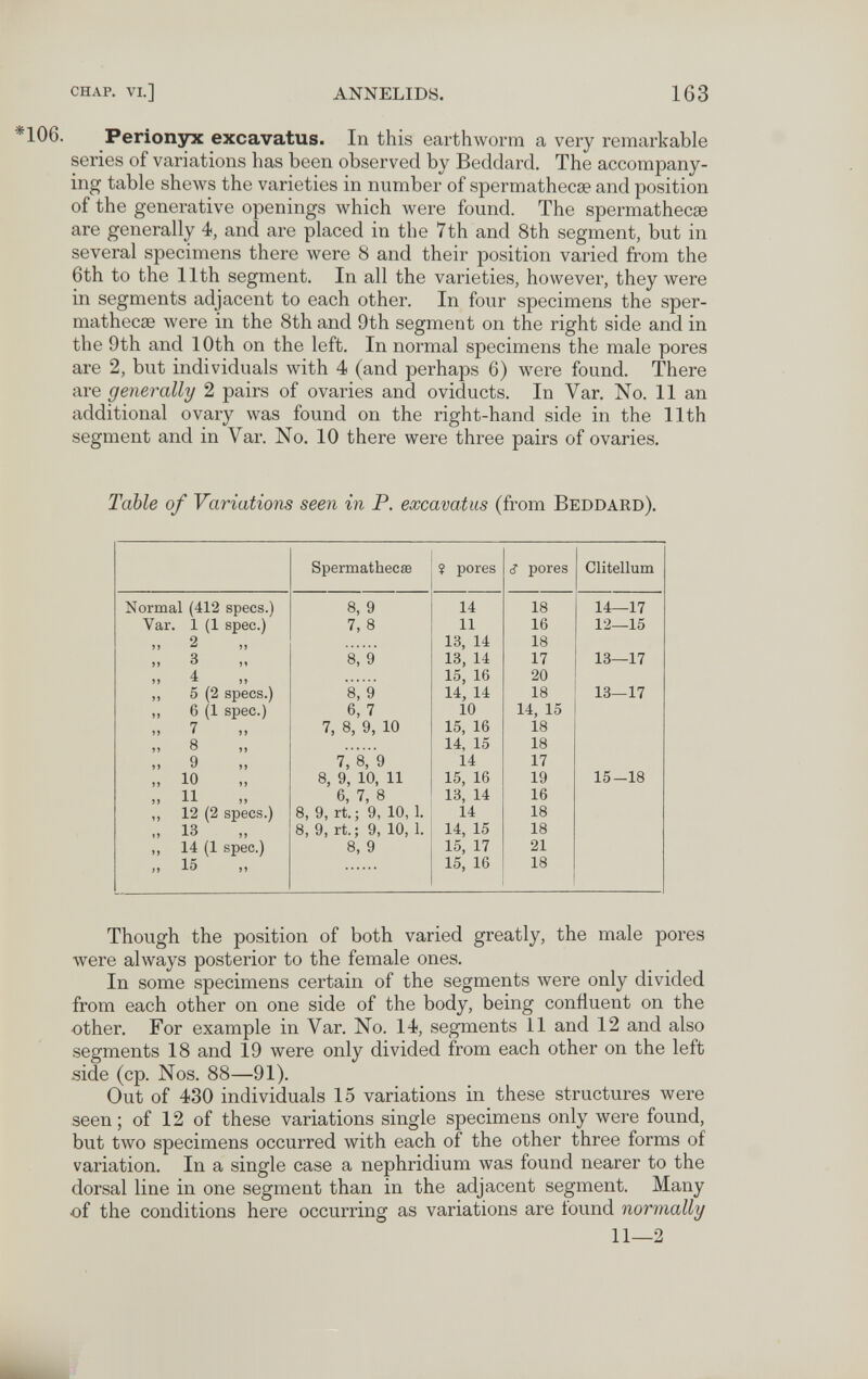 CHAP, VI.] annelids. 163 Perionyx excavatus. In this earthworm a very remarkable series of variations has been observed by Beddard. The accompany¬ ing table shews the varieties in number of spermathecae and position of the generative openings which were found. The spermathecae are generally 4, and are placed in the 7th and 8th segment, but in several specimens there were 8 and their position varied from the 6th to the 11th segment. In all the varieties, however, they were in segments adjacent to each other. In four specimens the sper¬ mathecae were in the 8th and 9th segment on the right side and in the 9th and 10th on the left. In normal specimens the male pores are 2, but individuals with 4 (and perhaps 6) were found. There are generally 2 pairs of ovaries and oviducts. In Var. No. 11 an additional ovary was found on the right-hand side in the 11th segment and in Var. No, 10 there were three pairs of ovaries. Table of Variations seen in P. excavatus (from Beddard), Though the position of both varied greatly, the male pores were always posterior to the female ones. In some specimens certain of the segments were only divided from each other on one side of the body, being confluent on the ■other. For example in Var. No. 14, segments 11 and 12 and also segments 18 and 19 were only divided from each other on the left side (cp. Nos. 88—91). Out of 430 individuals 15 variations in these structures were seen ; of 12 of these variations single specimens only were found, but two specimens occurred with each of the other three forms of variation. In a single case a nephridium was found nearer to the dorsal line in one segment than in the adjacent segment. Many of the conditions here occurring as variations are tound normally 11—2