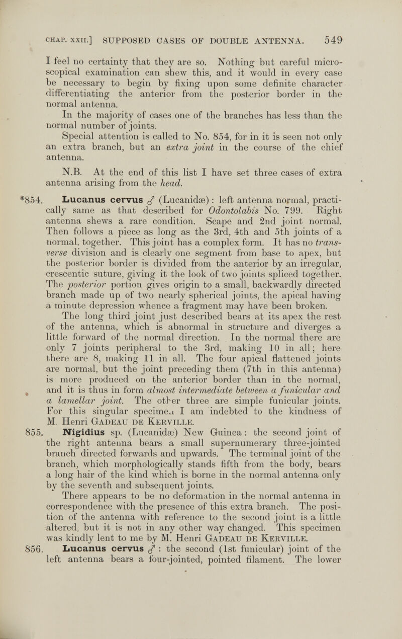 CHAP. XXII.] SUPPOSED CASES OF DOUBLE ANTENNA. 549 I feel no certainty that they are so. Nothing but careful micro¬ scopical examination can shew this, and it would in every case be necessary to begin by fixing upon some definite character differentiating the anterior from the posterior border in the normal antenna. In the majority of cases one of the branches has less than the normal number of joints. Special attention is called to No. 854, for in it is seen not only an extra branch, but an extra joint in the course of the chief antenna. N.B. At the end of this list I have set three cases of extra antenna arising from the head. *854. Lucanus cervus (Lucanidse) : left antenna normal, practi¬ cally same as that described for Odontolabis No. 799. Right antenna shews a rare condition. Scape and 2nd joint normal. Then follows a piece as long as the 3rd, 4th and 5th joints of a normal, together. This joint has a complex form. It has no trans¬ verse division and is clearly one segment from base to apex, but the posterior border is divided from the antei-ior by an irregular, crescentic suture, giving it the look of two joints spliced together. The posterior portion gives origin to a small, backwardly directed branch made up of two nearly spherical joints, the apical having a minute depression whence a fragment may have been broken. The long third joint just described bears at its apex the rest of the antenna, which is abnormal in structure and diverges a little forward of the normal direction. In the normal there are only 7 joints peripheral to the 3rd, making 10 in all; here there are 8, making 11 in all. The four apical flattened joints are normal, but the joint preceding them (7th in this antenna) is more produced on the anterior border than in the normal, ^ and it is thus in form almost intermediate between a funicular and a lamellar joint. The other three are simple funicular joints. For this singular specimexi I am indebted to the kindness of M. Henri G ade au de Kerville. 855. Nigidius sp. (Lucanidse) New Guinea : the second joint of the right antenna bears a small supernumerary three-jointed branch directed forwards and upwards. The terminal joint of the branch, which morphologically stands fifth from the body, bears a long hair of the kind which is borne in the normal antenna only by the seventh and subsequent joints. There appears to be no deformation in the normal antenna in correspondence with the presence of this extra branch. The posi¬ tion of the antenna with reference to the second joint is a little altered, but it is not in any other way changed. This specimen was kindly lent to me by M. Henri Gadeau de Kerville. 856. Lucanus cervus : the second (1st funicular) joint of the left antenna bears a four-jointed, pointed filament. The lower
