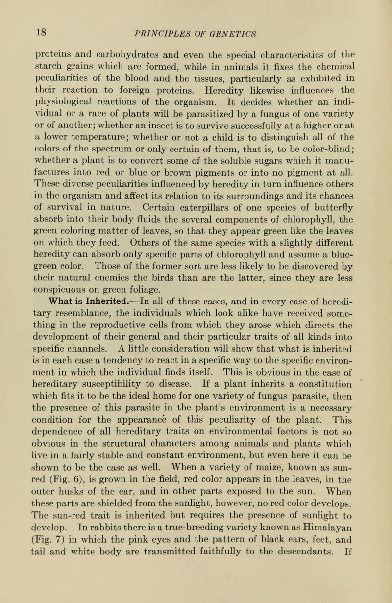 proteins and carbohydrates and even the special characteristics of the starch grains which are formed, while in animals it fixes the chemical peculiarities of the blood and the tissues, particularly as exhibited in their reaction to foreign proteins. Heredity likewise influences the physiological reactions of the organism. It decides whether an indi vidual or a race of plants will be parasitized by a fungus of one variety or of another; whether an insect is to survive successfully at a higher or at a lower temperature; whether or not a child is to distinguish all of the colors of the spectrum or only certain of them, that is, to be color-blind; whether a plant is to convert some of the soluble sugars which it manu factures into red or blue or brown pigments or into no pigment at all. These diverse peculiarities influenced by heredity in turn influence others in the organism and affect its relation to its surroundings and its chances of survival in nature. Certain caterpillars of one species of butterfly absorb into their body fluids the several components of chlorophyll, the green coloring matter of leaves, so that they appear green like the leaves on which they feed. Others of the same species with a slightly different heredity can absorb only specific parts of chlorophyll and assume a blue- green color. Those of the former sort are less likely to be discovered by their natural enemies the birds than are the latter, since they are less conspicuous on green foliage. What is Inherited. —In all of these cases, and in every case of heredi tary resemblance, the individuals which look alike have received some thing in the reproductive cells from which they arose which directs the development of their general and their particular traits of all kinds into specific channels. A little consideration will show that what is inherited is in each case a tendency to react in a specific way to the specific environ ment in which the individual finds itself. This is obvious in the case of hereditary susceptibility to disease. If a plant inherits a constitution which fits it to be the ideal home for one variety of fungus parasite, then the presence of this parasite in the plant's environment is a necessary condition for the appearance of this peculiarity of the plant. This dependence of all hereditary traits on environmental factors is not so obvious in the structural characters among animals and plants which live in a fairly stable and constant environment, but even here it can be shown to be the case as well. When a variety of maize, known as sun- red (Fig. 6), is grown in the field, red color appears in the leaves, in the outer husks of the ear, and in other parts exposed to the sun. When these parts are shielded from the sunlight, however, no red color develops. The sun-red trait is inherited but requires the presence of sunlight to develop. In rabbits there is a true-breeding variety known as Himalayan (Fig. 7) in which the pink eyes and the pattern of black ears, feet, and tail and white body are transmitted faithfully to the descendants. If