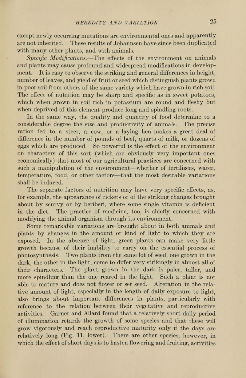 except newly occurring mutations are environmental ones and apparently are not inherited. These results of Johannsen have since been duplicated with many other plants, and with animals. Specific Modifications. —The effects of the environment on animals and plants may cause profound and widespread modifications in develop ment. It is easy to observe the striking and general differences in height, number of leaves, and yield of fruit or seed which distinguish plants grown in poor soil from others of the same variety which have grown in rich soil. The effect of nutrition may be sharp and specific as in sweet potatoes, which when grown in soil rich in potassium are round and fleshy but when deprived of this element produce long and spindling roots. In the same way, the quality and quantity of food determine to a considerable degree the size and productivity of animals. The precise ration fed to a steer, a cow, or a laying hen makes a great deal of difference in the number of pounds of beef, quarts of milk, or dozens of eggs which are produced. So powerful is the effect of the environment on characters of this sort (which are obviously very important ones economically) that most of our agricultural practices are concerned with such a manipulation of the environment—whether of fertilizers, water, temperature, food, or other factors—that the most desirable variations shall be induced. The separate factors of nutrition may have very specific effects, as, for example, the appearance of rickets or of the striking changes brought about by scurvy or by beriberi, where some single vitamin is deficient in the diet. The practice of medicine, too, is chiefly concerned with modifying the animal organism through its environment. Some remarkable variations are brought about in both animals and plants by changes in the amount or kind of light to which they are exposed. In the absence of light, green plants can make very little growth because of their inability to carry on the essential process of photosynthesis. Two plants from the same lot of seed, one grown in the dark, the other in the light, come to differ very strikingly in almost all of their characters. The plant grown in the dark is paler, taller, and more spindling than the one reared in the light. Such a plant is not able to mature and does not flower or set seed. Alteration in the rela tive amount of light, especially in the length of daily exposure to light, also brings about important differences in plants, particularly with reference to the relation between their vegetative and reproductive activities. Garner and Allard found that a relatively short daily period of illumination retards the growth of some species and that these will grow vigorously and reach reproductive maturity only if the days are relatively long (Fig. 11, lower). There are other species, however, in which the effect of short days is to hasten flowering and fruiting, activities