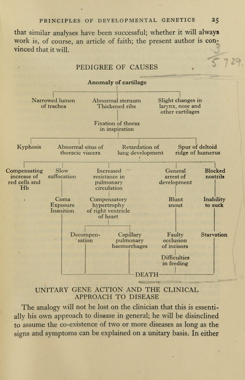 that similar analyses have been successful; whether it will always work is, of course, an article of faith; the present author is con vinced that it will. pedigree of causes Narrowed lumen of trachea Anomaly of cartilage Abnormal sternum Thickened ribs Fixation of thorax in inspiration Slight changes in larynx, nose and other cartilages Kyphosis Abnormal situs of thoracic viscera Retardation of lung development Spur of deltoid ridge of humerus Compensating increase of red cells and Hb Slow suffocation Coma Exposure Inanition Increased resistance in pulmonary circulation Compensatory hypertrophy of right ventricle of heart Decompen sation Capillary pulmonary haemorrhages General arrest of development Blunt snout Faulty occlusion of incisors ! Difficulties in feeding Blocked nostrils Inability to suck Starvation DEATH- UNITARY GENE ACTION AND THE CLINICAL APPROACH TO DISEASE The analogy will not be lost on the clinician that this is essenti ally his own approach to disease in general; he will be disinclined to assume the co-existence of two or more diseases as long as the signs and symptoms can be explained on a unitary basis. In either