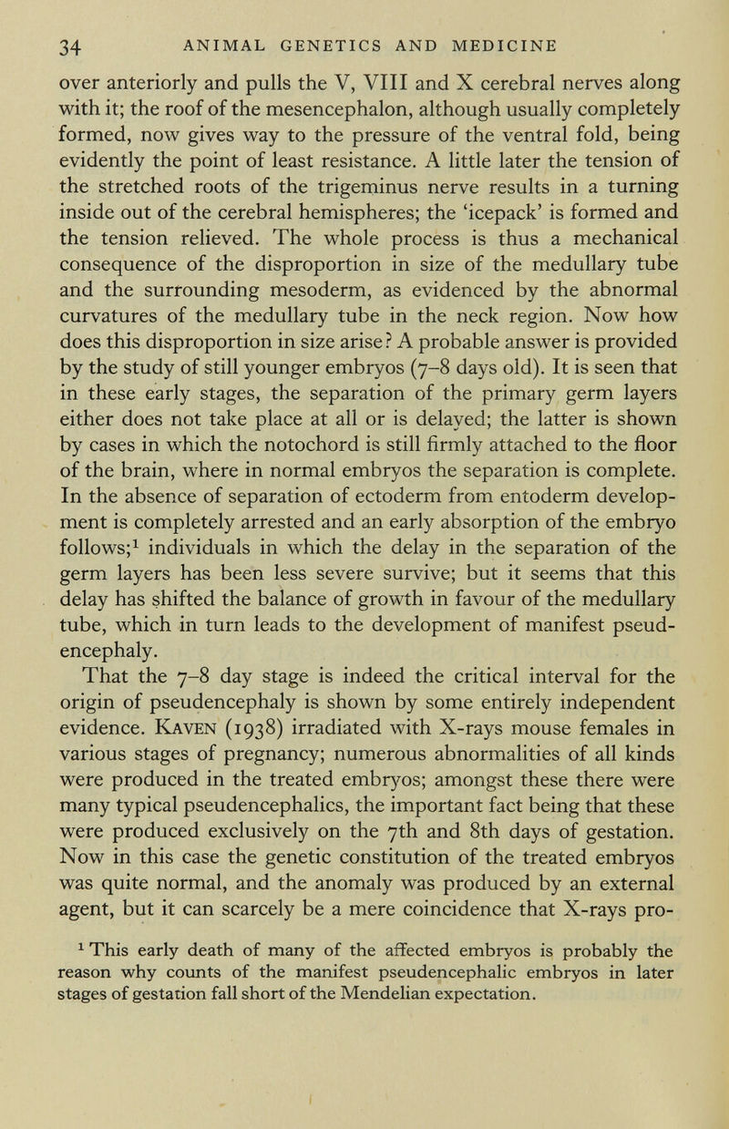 over anteriorly and pulls the V, VIII and X cerebral nerves along with it; the roof of the mesencephalon, although usually completely formed, now gives way to the pressure of the ventral fold, being evidently the point of least resistance. A little later the tension of the stretched roots of the trigeminus nerve results in a turning inside out of the cerebral hemispheres; the 'icepack' is formed and the tension relieved. The whole process is thus a mechanical consequence of the disproportion in size of the medullary tube and the surrounding mesoderm, as evidenced by the abnormal curvatures of the medullary tube in the neck region. Now how does this disproportion in size arise ? A probable answer is provided by the study of still younger embryos (7-8 days old). It is seen that in these early stages, the separation of the primary germ layers either does not take place at all or is delayed; the latter is shown by cases in which the notochord is still firmly attached to the floor of the brain, where in normal embryos the separation is complete. In the absence of separation of ectoderm from entoderm develop ment is completely arrested and an early absorption of the embryo follows; 1 individuals in which the delay in the separation of the germ layers has been less severe survive; but it seems that this delay has shifted the balance of growth in favour of the medullary tube, which in turn leads to the development of manifest pseud- encephaly. That the 7-8 day stage is indeed the critical interval for the origin of pseudencephaly is shown by some entirely independent evidence. Kaven (1938) irradiated with X-rays mouse females in various stages of pregnancy; numerous abnormalities of all kinds were produced in the treated embryos; amongst these there were many typical pseudencephalics, the important fact being that these were produced exclusively on the 7th and 8th days of gestation. Now in this case the genetic constitution of the treated embryos was quite normal, and the anomaly was produced by an external agent, but it can scarcely be a mere coincidence that X-rays pro- 1 This early death of many of the affected embryos is probably the reason why counts of the manifest pseudencephalic embryos in later stages of gestation fall short of the Mendelian expectation.
