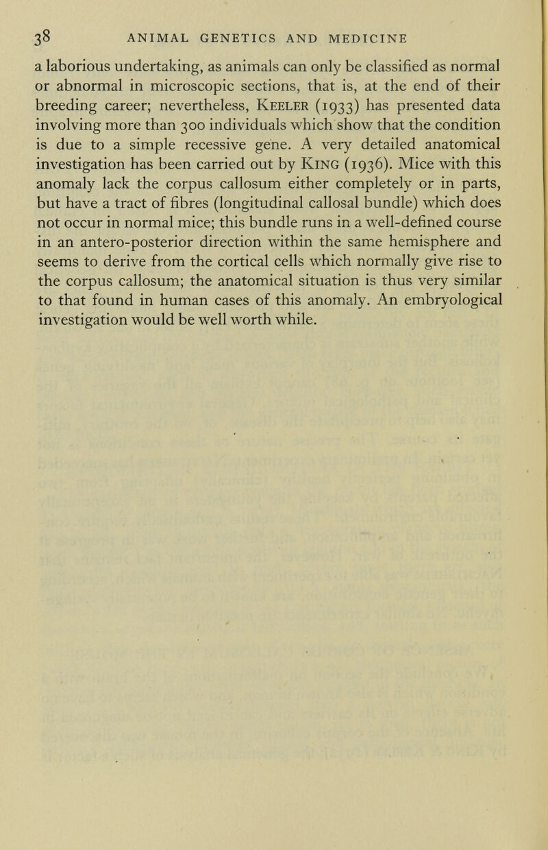 a laborious undertaking, as animals can only be classified as normal or abnormal in microscopic sections, that is, at the end of their breeding career; nevertheless, Keeler (1933) has presented data involving more than 300 individuals which show that the condition is due to a simple recessive gene. A very detailed anatomical investigation has been carried out by King (1936). Mice with this anomaly lack the corpus callosum either completely or in parts, but have a tract of fibres (longitudinal callosal bundle) which does not occur in normal mice; this bundle runs in a well-defined course in an antero-posterior direction within the same hemisphere and seems to derive from the cortical cells which normally give rise to the corpus callosum; the anatomical situation is thus very similar to that found in human cases of this anomaly. An embryological investigation would be well worth while.