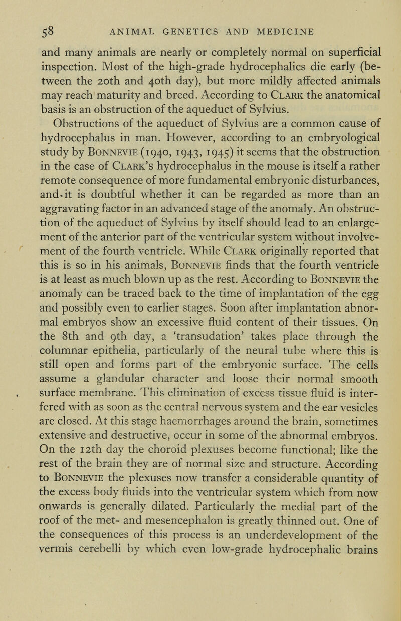 and many animals are nearly or completely normal on superficial inspection. Most of the high-grade hydrocephalics die early (be tween the 20th and 40th day), but more mildly affected animals may reach maturity and breed. According to Clark the anatomical basis is an obstruction of the aqueduct of Sylvius. Obstructions of the aqueduct of Sylvius are a common cause of hydrocephalus in man. However, according to an embryological study by Bonnevie (1940, 1943, 1945) it seems that the obstruction in the case of Clark's hydrocephalus in the mouse is itself a rather remote consequence of more fundamental embryonic disturbances, and.it is doubtful whether it can be regarded as more than an aggravating factor in an advanced stage of the anomaly. An obstruc tion of the aqueduct of Sylvius by itself should lead to an enlarge ment of the anterior part of the ventricular system without involve ment of the fourth ventricle. While Clark originally reported that this is so in his animals, Bonnevie finds that the fourth ventricle is at least as much blown up as the rest. According to Bonnevie the anomaly can be traced back to the time of implantation of the egg and possibly even to earlier stages. Soon after implantation abnor mal embryos show an excessive fluid content of their tissues. On the 8th and 9th day, a 'transudation' takes place through the columnar epithelia, particularly of the neural tube where this is still open and forms part of the embryonic surface. The cells assume a glandular character and loose their normal smooth surface membrane. This elimination of excess tissue fluid is inter fered with as soon as the central nervous system and the ear vesicles are closed. At this stage haemorrhages around the brain, sometimes extensive and destructive, occur in some of the abnormal embryos. On the 12th day the choroid plexuses become functional; like the rest of the brain they are of normal size and structure. According to Bonnevie the plexuses now transfer a considerable quantity of the excess body fluids into the ventricular system which from now onwards is generally dilated. Particularly the medial part of the roof of the met- and mesencephalon is greatly thinned out. One of the consequences of this process is an underdevelopment of the vermis cerebelli by which even low-grade hydrocephalic brains