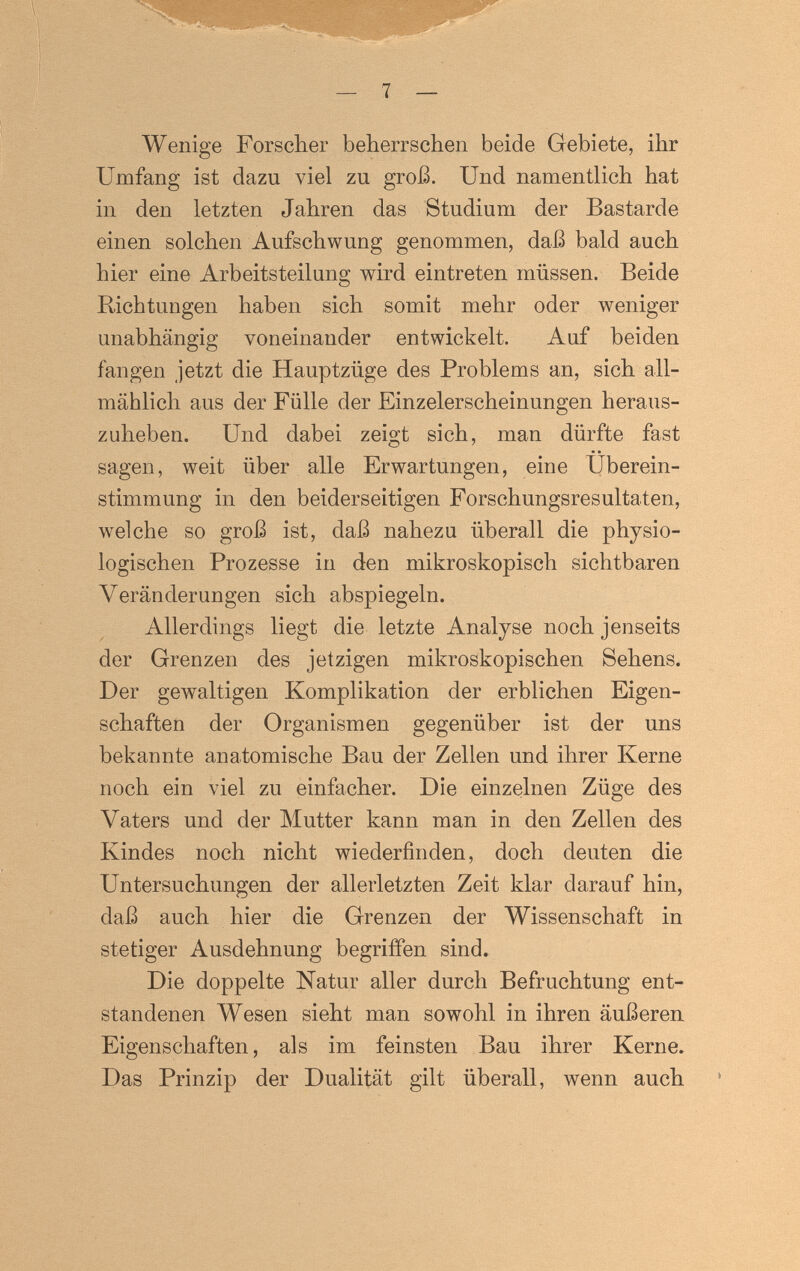 — 7 — Wenige Forscber beherrschen beide Gebiete, ihr Umfang ist dazu viel zu groß. Und namentlich hat in den letzten Jahren das Studium der Bastarde einen solchen Aufschwung genommen, daß bald auch hier eine Arbeitsteilung wird eintreten müssen. Beide Bichtungen haben sich somit mehr oder weniger unabhängig voneinander entwickelt. Auf beiden fangen jetzt die Hauptzüge des Problems an, sich all¬ mählich aus der Fülle der Einzelerscheinungen heraus¬ zuheben. Und dabei zeigt sich, man dürfte fast sagen, weit über alle Erwartungen, eine Uberein¬ stimmung in den beiderseitigen Forschungsresultaten, welche so groß ist, daß nahezu überall die physio¬ logischen Prozesse in den mikroskopisch sichtbaren Veränderungen sich abspiegeln. Allerdings liegt die letzte Analyse noch jenseits der Grenzen des jetzigen mikroskopischen Sehens. Der gewaltigen Komplikation der erblichen Eigen¬ schaften der Organismen gegenüber ist der uns bekannte anatomische Bau der Zellen und ihrer Kerne noch ein viel zu einfacher. Die einzelnen Züge des Vaters und der Mutter kann man in den Zellen des Kindes noch nicht wiederfinden, doch deuten die Untersuchungen der allerletzten Zeit klar darauf hin, daß auch hier die Grenzen der Wissenschaft in stetiger Ausdehnung begriifen sind. Die doppelte Natur aller durch Befruchtung ent¬ standenen Wesen sieht man sowohl in ihren äußeren Eigenschaften, als im feinsten Bau ihrer Kerne. Das Prinzip der Dualität gilt überall, wenn auch