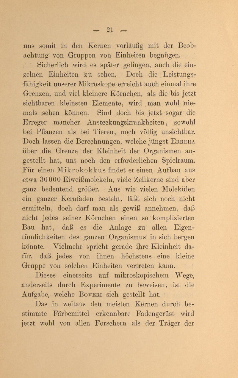 — 21 uns somit in den Kernen vorlaufig mit der Beob¬ achtung л^оп Gruppen von Einheiten begnügen. Sicherlich wird es späte? gelingen, auch die ein¬ zelnen Einheiten zu sehen. Doch die Leistungs¬ fähigkeit unserer Mikroskope erreicht auch einmal ihre Grenzen, und viel kleinere Körnchen, als die bis jetzt sichtbaren kleinsten Elemente, wird man wohl nie¬ mals sehen können. Sind doch bis jetzt sogar die Erreger mancher Ansteckungskrankheiten, sowohl bei Pflanzen als bei Tieren, noch völlig unsichtbar. Doch lassen die Berechnungen, welche jüngst Ekrera über die Grenze der Kleinheit der Organismen an¬ gestellt hat, uns noch den erforderlichen Spielraum. Für einen Mikrokokkus findet er einen Aufbau aus etwa 30000 Eiweißmolekeln, viele Zellkerne sind aber ganz bedeutend größer. Aus wie vielen Molekülen ein ganzer Kernfaden besteht, läßt sich noch nicht ermitteln, doch darf man als gewiß annehmen, daß nicht jedes seiner Körnchen einen so komplizierten Bau hat, daß es die Anlage zu allen Eigen¬ tümlichkeiten des ganzen Organismus in sich bergen könnte. Vielmehr spricht gerade ihre Kleinheit da¬ für, daß jedes von ihnen höchstens eine kleine Gruppe von solchen Einheiten vertreten kann. Dieses einerseits auf mikroskopischem Wege, anderseits durch Experimente zu beweisen., ist die Aufgabe, welche Во veri sich gestellt hat. Das in weitaus deii meisten Kernen durch be¬ stimmte Färbemittel erkennbare Fadengerüst wird jetzt wohl von allen Forschern als der Träger der