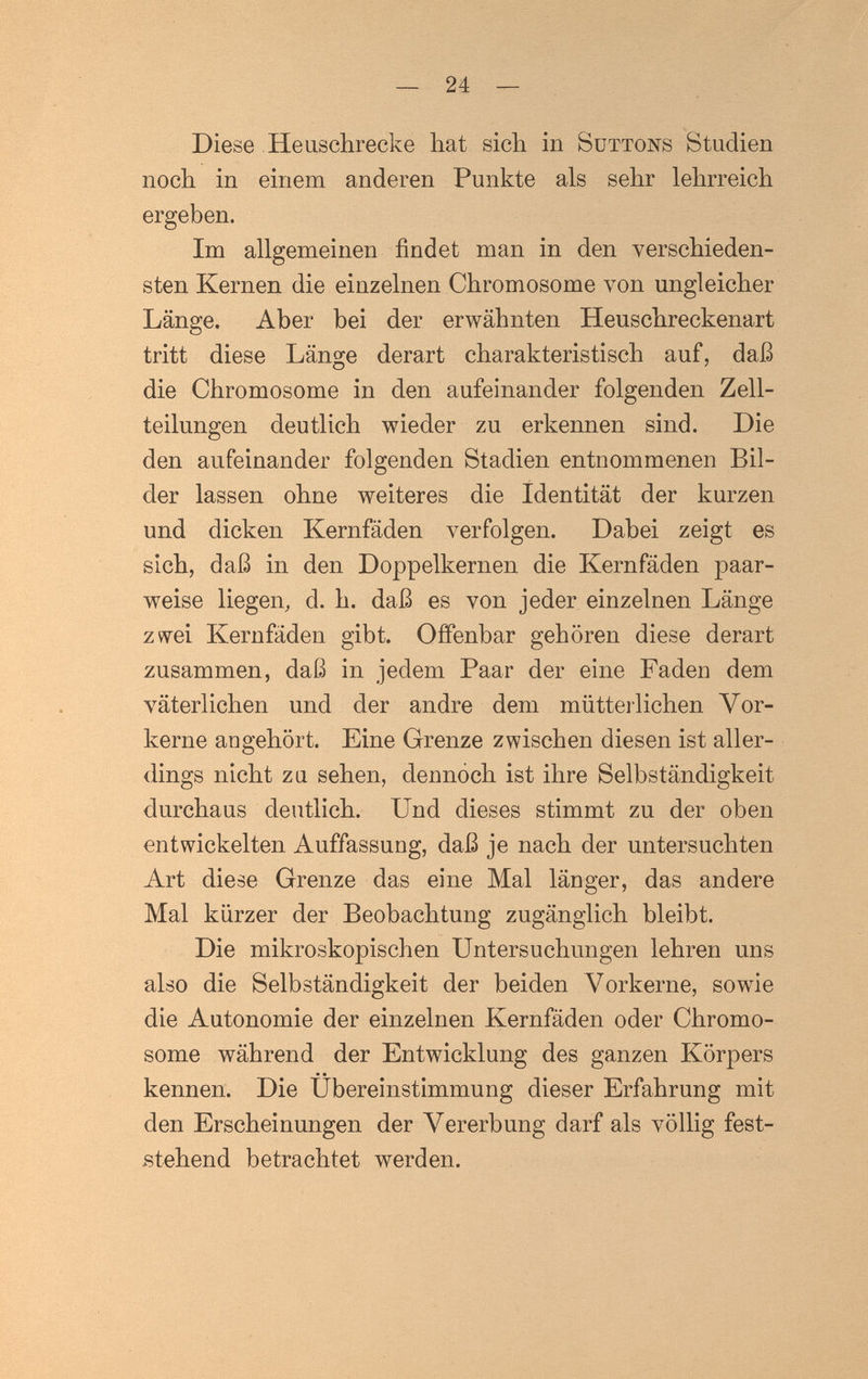 — 24 — Diese Heuschrecke hat sich in Suttons Studien noch in einem anderen Punkte als sehr lehrreich ergeben. Im allgemeinen findet man in den verschieden¬ sten Kernen die einzelnen Chromosome von ungleicher Länge. Aber bei der erwähnten Heuschreckenart tritt diese Länge derart charakteristisch auf, daß die Chromosome in den aufeinander folgenden Zell¬ teilungen deutlich wieder zu erkennen sind. Die den aufeinander folgenden Stadien entnommenen Bil¬ der lassen ohne weiteres die Identität der kurzen und dicken Kernfäden verfolgen. Dabei zeigt es sich, daß in den Doppelkernen die Kernfäden paar¬ weise liegen^ d. h. daß es von jeder einzelnen Länge zwei Kernfäden gibt. Offenbar gehören diese derart zusammen, daß in jedem Paar der eine Faden dem väterlichen und der andre dem mütterlichen Vor¬ kerne au gehört. Eine Grenze zwischen diesen ist aller¬ dings nicht zu sehen, dennoch ist ihre Selbständigkeit durchaus deutlich. Und dieses stimmt zu der oben entwickelten Auffassung, daß je nach der untersuchten Art diese Grenze das eine Mal länger, das andere Mal kürzer der Beobachtung zugänglich bleibt. Die mikroskopischen Untersuchungen lehren uns also die Selbständigkeit der beiden Vorkerne, sowie die Autonomie der einzelnen Kernfäden oder Chromo¬ some während der Entwicklung des ganzen Körpers kennen. Die Übereinstimmung dieser Erfahrung mit den Erscheinungen der Vererbung darf als völlig fest¬ stehend betrachtet werden.