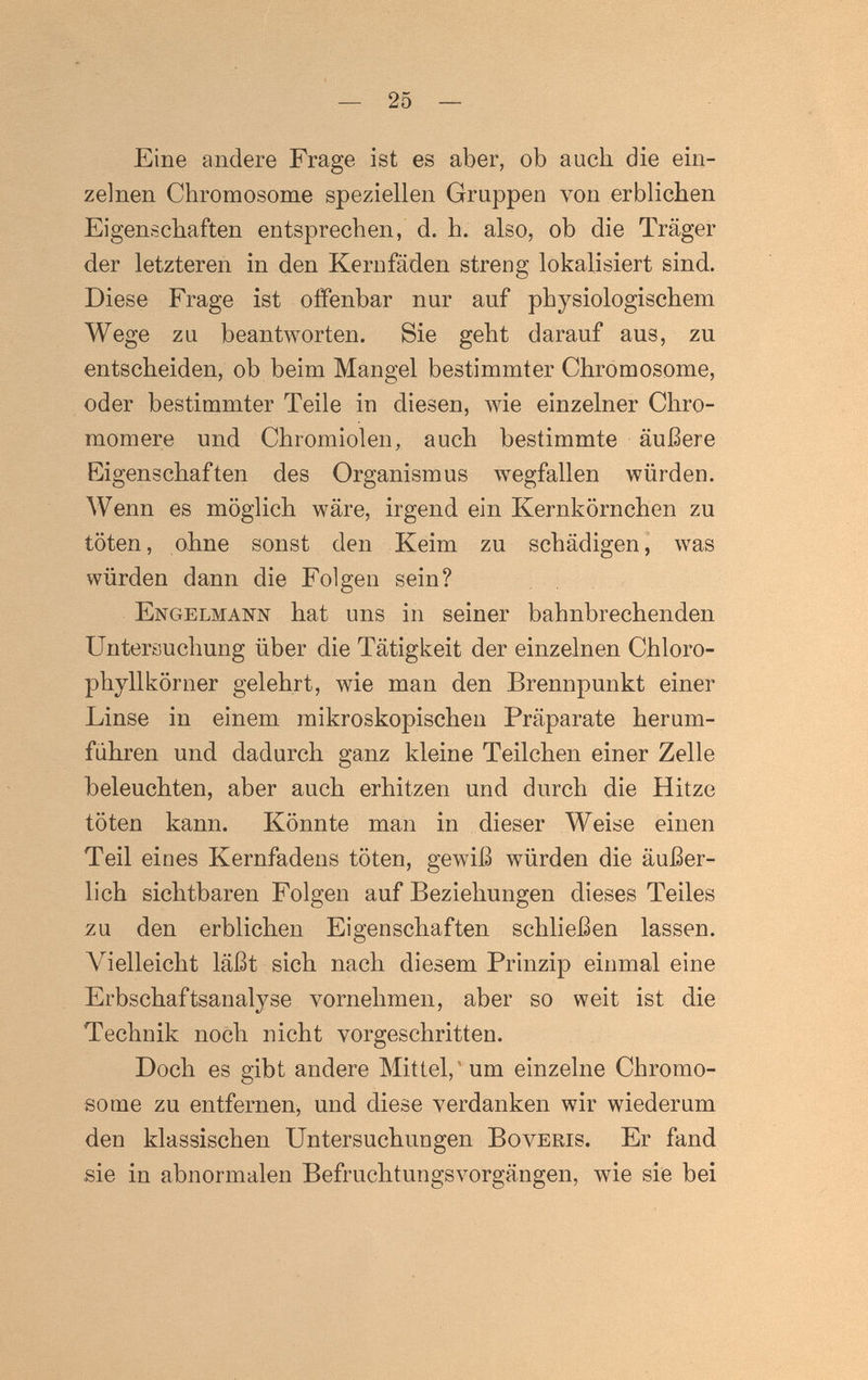 — 25 — Eine andere Frage ist es aber, ob auch die ein¬ zelnen Chromosome speziellen Gruppen von erblichen Eigenschaften entsprechen, d. h. also, ob die Träger der letzteren in den Kernfäden streng lokalisiert sind. Diese Frage ist offenbar nur auf physiologischem Wege zu beantworten. Sie geht darauf aus, zu entscheiden, ob beim Mangel bestimmter Chromosome, oder bestimmter Teile in diesen, wie einzelner Chro- momere und Chromiolen, auch bestimmte äußere Eigenschaften des Organismus wegfallen würden. Wenn es möglich wäre, irgend ein Kernkörnchen zu töten, ohne sonst den Keim zu schädigen, was würden dann die Folgen sein? Engelmann hat uns in seiner bahnbrechenden Untersuchung über die Tätigkeit der einzelnen Chloro¬ phyllkörner gelehrt, wie man den Brennpunkt einer Linse in einem mikroskopischen Präparate herum¬ fuhren und dadurch ganz kleine Teilchen einer Zelle beleuchten, aber auch erhitzen und durch die Hitze töten kann. Könnte man in dieser Weise einen Teil eines Kernfadens töten, gewiß würden die äußer¬ lich sichtbaren Folgen auf Beziehungen dieses Teiles zu den erblichen Eigenschaften schließen lassen. Vielleicht läßt sich nach diesem Prinzip einmal eine Erbschaftsanalyse vornehmen, aber so weit ist die Technik noch nicht vorgeschritten. Doch es gibt andere Mittel,'um einzelne Chromo¬ some zu entfernen, und diese verdanken wir wiederum den klassischen Untersuchungen Boveris. Er fand sie in abnormalen Befruchtungsvorgängen, wie sie bei