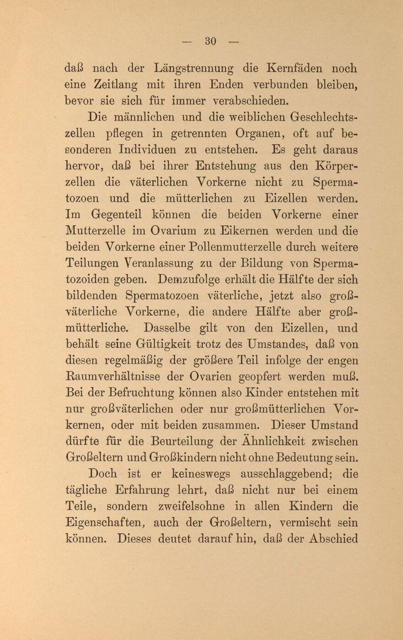 — 30 — daß nacli der Längstrennung die Kernfäden noch, eine Zeitlang mit ihren Enden verbunden bleiben, bevor sie sich für immer verabschieden. Die männlichen und die weiblichen Geschlechts¬ zellen pflegen in getrennten Organen, oft auf be¬ sonderen Individuen zu entstehen. Es geht daraus hervor, daß bei ihrer Entstehung aus den Körper¬ zellen die väterlichen Vorkerne nicht zu Sperma- tozoen und die mütterlichen zu Eizellen werden. Im Gegenteil können die beiden Vorkerne einer Mutterzelle im Ovarium zu Eikernen werden und die beiden Vorkerne einer Pollenmutterzelle durch weitere Teilungen Veranlassung zu der Bildung von Sperma- tozoiden geben. Demzufolge erhält die Hälfte der sich bildenden Spermatozoen väterliche, jetzt also groß¬ väterliche Vorkerne, die andere Hälfte aber groß¬ mütterliche. Dasselbe gilt von den Eizellen, und behält seine Gültigkeit trotz des Umstandes, daß von diesen regelmäßig der größere Teil infolge der engen Raumverhältnisse der Ovarien geopfert werden muß. Bei der Befruchtung können also Kinder entstehen mit nur großväterlichen oder nur groß mütterlichen Vor¬ kernen, oder mit beiden zusammen. Dieser Umstand dürfte für die Beurteilung der Ähnlichkeit zwischen Großeltern und Großkindern nicht ohne Bedeutung sein. Doch ist er keineswegs ausschlaggebend; die tägliche Erfahrung lehrt, daß nicht nur bei einem Teile, sondern zweifelsohne in allen Kindern die Eigenschaften, auch der Großeltern, vermischt sein können. Dieses deutet darauf hin, daß der Abschied