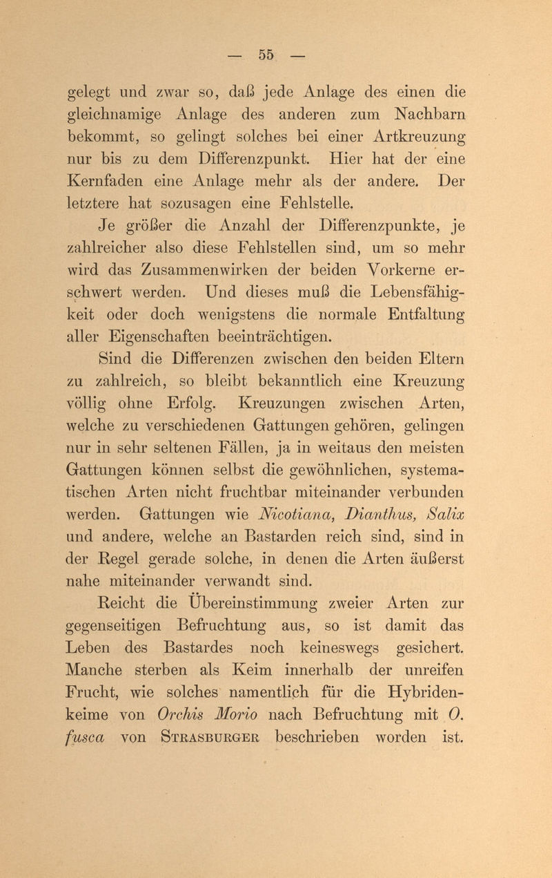 — 55 — gelegt und zwar so, daß jede Anlage des einen die gleichnamige Anlage des anderen zum Nachbarn bekommt, so gelingt solches bei einer Artkreuzung nur bis zu dem Differenzpunkt. Hier hat der eine Kernfaden eine Anlage mehr als der andere. Der letztere hat sozusagen eine Fehlstelle. Je größer die Anzahl der Diiferenzpunkte, je zahlreicher also diese Fehlstellen sind, um so mehr wird das Zusammenwirken der beiden Vorkerne er¬ schwert werden. Und dieses muß die Lebensfähig¬ keit oder doch wenigstens die normale Entfaltung aller Eigenschaften beeinträchtigen. Sind die Differenzen zwischen den beiden Eltern zu zahlreich, so bleibt bekanntlich eine Kreuzung völlig ohne Erfolg. Kreuzungen zwischen Arten, welche zu verschiedenen Gattungen gehören, gelingen nur in sehr seltenen Fällen, ja in weitaus den meisten Gattungen können selbst die gewöhnlichen, systema¬ tischen Arten nicht fruchtbar miteinander verbunden werden. Gattungen wie Nicotiana, Dianthus, Salix und andere, welche an Bastarden reich sind, sind in der ßegel gerade solche, in denen die Arten äußerst nahe miteinander verwandt sind.  • • Reicht die Ubereinstimmung zweier Arten zur gegenseitigen Befruchtung aus, so ist damit das Leben des Bastardes noch keineswegs gesichert. Manche sterben als Keim innerhalb der unreifen Frucht, wie solches namentlich fär die Hybriden¬ keime von Orchis Morio nach Befruchtung mit 0. fusca von Strasburger beschrieben worden ist.