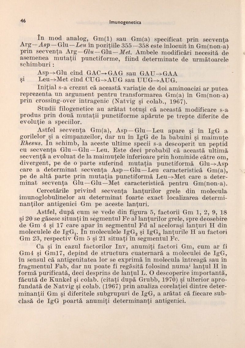 in mod analog, Gm(l) san Gm(a) specificat prin secventa Arg —Asp — Gin —Leu in pozitiile 355—358 este ìnlocnit in Gm(non-a) prin secventa Ar g—Glu — Gin— Met. Ambele modificàri necesità de asemenea imitaci punctiforme, fiind determinate de nrmàtoarele schimburi : Asp->Glu cìnd GAC-^GAG san GAU^GAA si Leu->Met cìnd CUG->AUG san UUG^AUG. Iniziai s-a creznt cà aceastà variale de doi aminoacizi ar putea reprezenta nn argnment pentru transformarea Gm(a) in Gm(non-a) prin crossing-over intragenic (Natvig §i colab., 1967). Studii filogenetice an aràtat totu§i cà aceastà modificare s-a prodns prin douà mutatii pnnctiforme apàrnte pe trepte diferite de evolute a speciilor. Astfel secventa Gm(a), Asp — Gin—Len apare si in IgG a gorilelor si a cimpanzeilor, dar nn in IgG de la babnini si maimute Rhesus. In schimb, la aceste ultime specii s-a descoperit nn peptid cu secventa Gin—Gin—Len. Este deci probabil cà aceastà nltimà secvenl^à a evolnat de la maimutele inferioare prin hominide càtre om, divergent, pe de o parte snferind mutala pnnctiformà Glu->Asp care a determinai secventa Asp —Gin—Len caracteristicà Gm(a), pe de altà parte prin mutatia pnnctiformà Leu->Met care a deter minai secventa Gin—Gin—Met caracteristicà pentru Gm(non-a). Cercetàrile privind secventa lanturilor grele din molecula imnnoglobnlinelor an determinai foarte exact localizarea determi- nantilor antigenici Gm pe aceste lanturi. Astfel, dnpà cnm se vede din figura 5, factorii Gm 1, 2, 9, 18 si 20 se gàsesc situati in segmentnl Fc al lanturilor grele, spre deosebire de Gm 4 si 17 care apar in segmentnl Ed al acelora§i lanturi H din moleculele de IgG^ in molecnlele IgG 2 si IgG 3 lanturile H an faetori Gm 23, respectiv Gm 5 si 21 situati in segmentnl Fc. Ca §i in caznl factorilor Inv, annmi^i faetori Gm, cnm ar fi Gm4 §i Gml7, depind de strnctnra cnaternarà a moleculei de IgG, in sensnl cà antigenitatea lor se exprimà in molecula ìntreagà sau in fragmentnl Fab, dar nn poate fi regàsità folosind nnma 1 ’ lantul H in formà pnrificatà, deci desprins de lantul L. O descoperire importantà, fàcntà de Knnkel §i colab. (citati dnpà Grubb, 1970) §i ulterior apro- fundatà de Natvig §i colab. (1967) prin analiza cordarmi dintre deter minanti Gm §i diferitele snbgrnpuri de IgG, a aràtat cà fiecare sub- clasà de IgG poartà anumiti determinane antigenici.