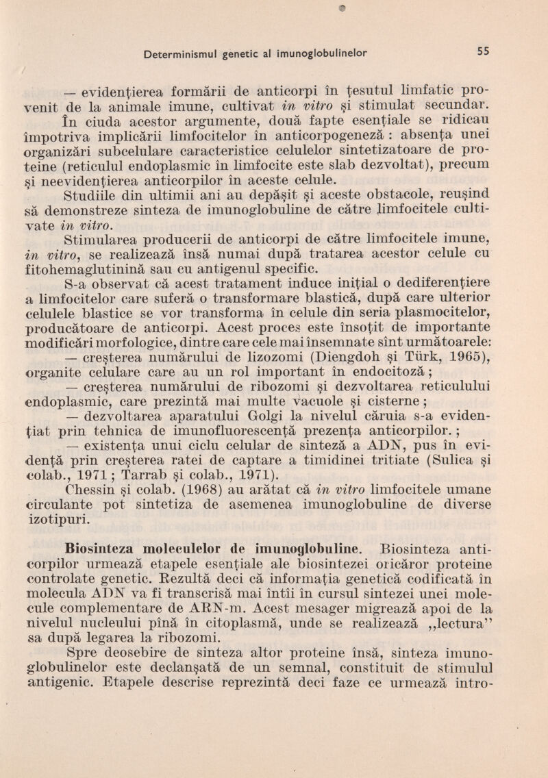 — eviden^ierea formàrii de anticorpi in tesutul limfatic pro- venit de la animale inrane, cultivat in vitro §i stimulat secnndar. In ciuda acestor argumente, douà fapte esentiale se ridican impotriva implicàrii limfocitelor in anticorpogenezà : absenta nnei organizàri subcelulare caracteristice celulelor sintetizatoare de pro teine (reticulul endoplasmic in limfocite este slab dezvoltat), precum §i neevidentierea anticorpilor in aceste celule. Studiile din ultimii ani au depà^it si aceste obstacole, reusind sa demonstreze sinteza de imunoglobuline de càtre limfocitele culti- vate in vitro. Stimularea producerii de anticorpi de càtre limfocitele imune, in vitro , se realizeazà ìnsà numai dupà tratarea acestor celule cu fitohemaglutininà sau cu antigenul specific. S-a observat cà acest tratament induce iniziai o dediferentiere a limfocitelor care suferà o transformare blasticà, dupà care ulterior celulele blastice se vor transforma in celule din seria plasmocitelor, producàtoare de anticoipi. Acest proces este ìnsotit de importante modif icàri morfologice, dintre care cele mai insemnate sint urmàtoarele: — cre§terea numàrului de lizozomi (Diengdoh si Tiirk, 1965), oi’ganite celulare care au un rol important in endocitozà ; — cre§terea numàrului de ribozomi si dezvoltarea reticulului endoplasmic, care prezintà mai multe vacuole §i cisterne ; — dezvoltarea aparatului Golgi la nivelul càruia s-a eviden ziai prin tehnica de imunofluorescentà prezen^a anticorpilor. ; — existenta unui ciclu celular de sintezà a ADN, pus in evi dente prin cresterea ratei de captare a timidinei tritiate (Sulica §i colab., 1971; Tarrab §i colab., 1971). Chessin §i colab. (1968) au aràtat cà in vitro limfocitele umane circulante pot sintetiza de asemenea imunoglobuline de diverse izotipuri. Biosinteza moleculelor de imunoglobuline. Biosinteza anti corpilor urmeazà etapele esentiale ale biosintezei oricàror proteine controlate genetic. Rezultà deci cà informatia geneticà codificatà in molecula ADN va fi transcrisà mai ìntìi in cursul sintezei unei mole- cule complementare de ARN-m. Acest mesager migreazà apoi de la nivelul nucleului pìnà in citoplasma, unde se realizeazà ,,lectura” sa dupà legarea la ribozomi. Spre deosebire de sinteza altor proteine ìnsà, sinteza imuno globulinelor este declan§atà de un semnal, constituit de stimulul antigenic. Etapele descrise reprezintà deci faze ce urmeazà intro-