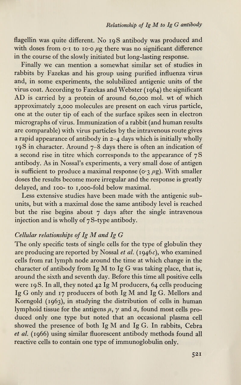 Relationship of Ig M to Ig G antibody flagellili was quite different. No 19 S antibody was produced and with doses from o-i to lo-o /ig there was no significant difference in the course of the slowly initiated but long-lasting response. Finally we can mention a somewhat similar set of studies in rabbits by Fazekas and his group using purified influenza virus and, in some experiments, the solubilized antigenic units of the virus coat. According to Fazekas and Webster (1964) the significant AD is carried by a protein of around 60,000 mol. wt of which approximately 2,000 molecules are present on each virus particle, one at the outer tip of each of the surface spikes seen in electron micrographs of virus. Immunization of a rabbit (and human results are comparable) with virus particles by the intravenous route gives a rapid appearance of antibody in 2-4 days which is initially wholly 19 S in character. Around 7-8 days there is often an indication of a second rise in titre which corresponds to the appearance of 7 S antibody. As in Nossal's experiments, a very small dose of antigen is sufficient to produce a maximal response (0-3 /¿g). With smaller doses the results become more irregular and the response is greatly delayed, and 100- to i,ooo-fold below maximal. Less extensive studies have been made with the antigenic sub- units, but with a maximal dose the same antibody level is reached but the rise begins about 7 days after the single intravenous injection and is wholly of 7S-type antibody. Cellular relationships of Ig M and Ig G The only specific tests of single cells for the type of globulin they are producing are reported by Nossal et al. (1946 c), who examined cells from rat lymph node around the time at which change in the character of antibody from Ig M to Ig G was taking place, that is, around the sixth and seventh day. Before this time all positive cells were 19 S. In all, they noted 42 Ig M producers, 64 cells producing Ig G only and 17 producers of both Ig M and Ig G. Mellors and Korngold (1963), in studying the distribution of cells in human lymphoid tissue for the antigens fi, y and a, found most cells pro¬ duced only one type but noted that an occasional plasma cell showed the presence of both Ig M and Ig G. In rabbits, Cebra et al. (1966) using similar fluorescent antibody methods found all reactive cells to contain one type of immunoglobulin only. 521
