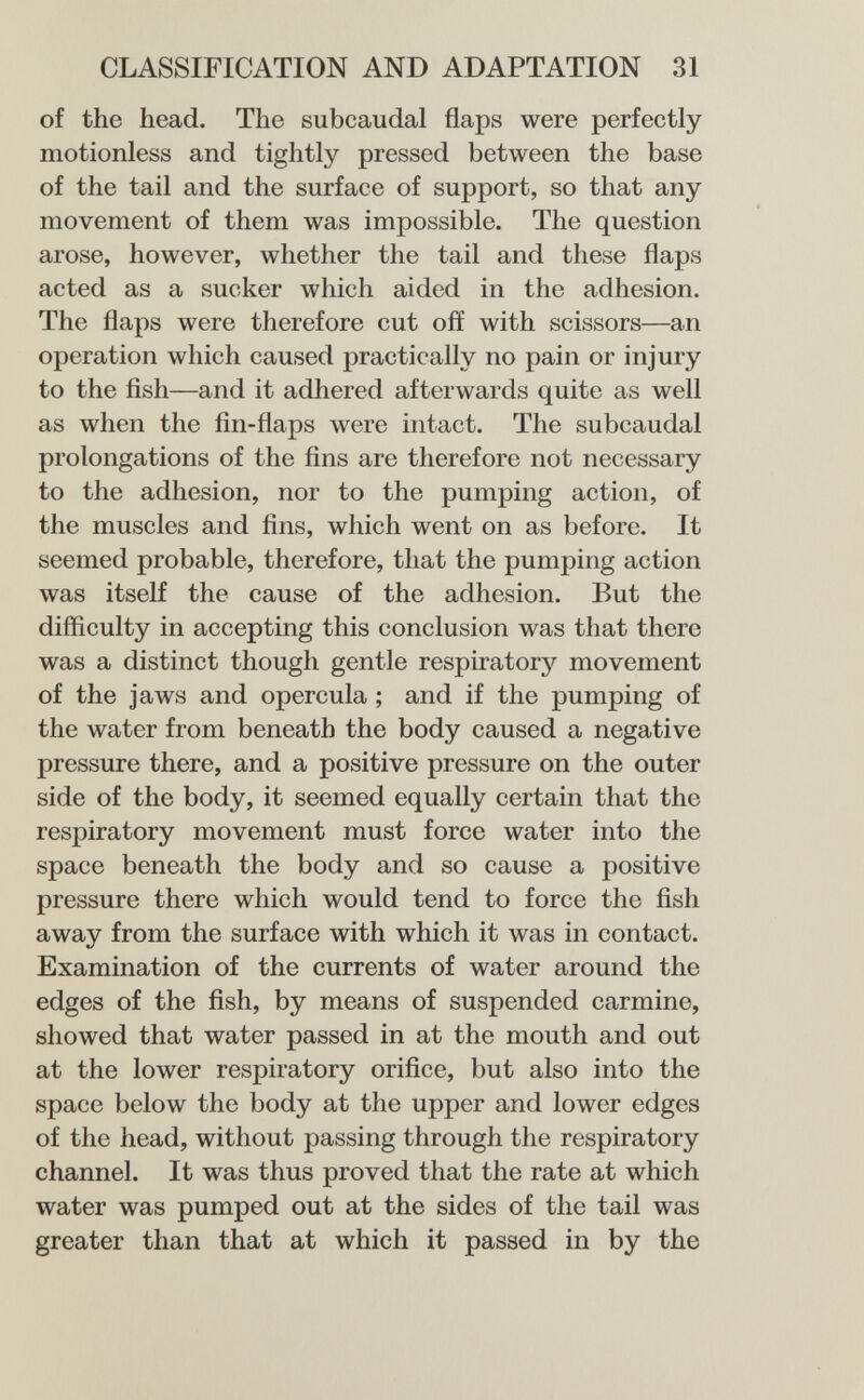 CLASSIFICATION AND ADAPTATION 31 of the head. The subcaudal flaps were perfectly motionless and tightly pressed between the base of the tail and the surface of support, so that any movement of them was impossible. The question arose, however, whether the tail and these flaps acted as a sucker which aided in the adhesion. The flaps were therefore cut off with scissors—an operation which caused practically no pain or injury to the fish—and it adhered afterwards quite as well as when the fin-flaps were intact. The subcaudal prolongations of the fins are therefore not necessary to the adhesion, nor to the pumping action, of the muscles and fins, which went on as before. It seemed probable, therefore, that the pumping action was itself the cause of the adhesion. But the difficulty in accepting this conclusion was that there was a distinct though gentle respiratory movement of the jaws and opercula ; and if the pumping of the water from beneath the body caused a negative pressure there, and a positive pressure on the outer side of the body, it seemed equally certain that the respiratory movement must force water into the space beneath the body and so cause a positive pressure there which would tend to force the fish away from the surface with which it was in contact. Examination of the currents of water around the edges of the fish, by means of suspended carmine, showed that water passed in at the mouth and out at the lower respiratory orifice, but also into the space below the body at the upper and lower edges of the head, without passing through the respiratory channel. It was thus proved that the rate at which water was pumped out at the sides of the tail was greater than that at which it passed in by the