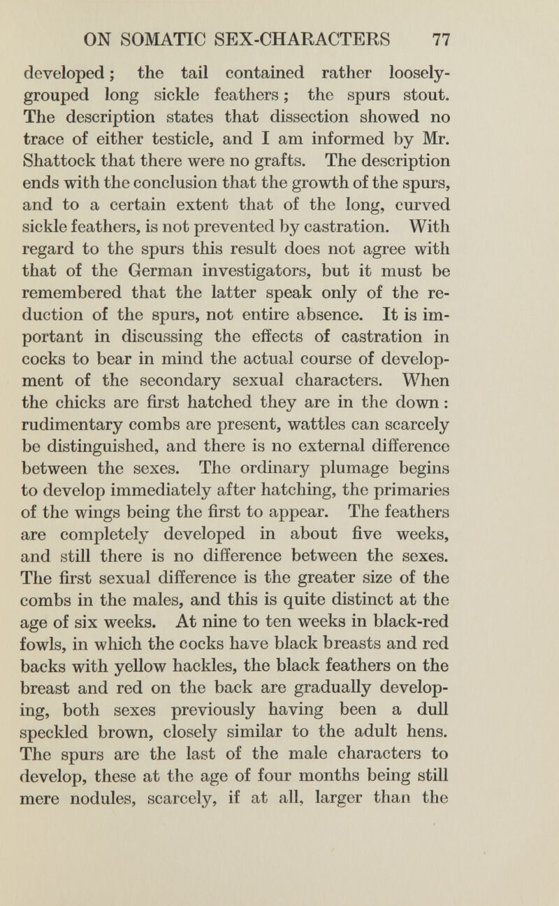 ON SOMATIC SEX-CHARACTERS 77 developed ; the tail contained rather loosely- grouped long sickle feathers ; the spurs stout. The description states that dissection showed no trace of either testicle, and I am informed by Mr. Shattock that there were no grafts. The description ends with the conclusion that the growth of the spurs, and to a certain extent that of the long, curved sickle feathers, is not prevented by castration. With regard to the spurs this result does not agree with that of the German investigators, but it must be remembered that the latter speak only of the re¬ duction of the spurs, not entire absence. It is im¬ portant in discussing the effects of castration in cocks to bear in mind the actual course of develop¬ ment of the secondary sexual characters. When the chicks are first hatched they are in the down : rudimentary combs are present, wattles can scarcely be distinguished, and there is no external difference between the sexes. The ordinary plumage begins to develop immediately after hatching, the primaries of the wings being the first to appear. The feathers are completely developed in about five weeks, and still there is no difference between the sexes. The first sexual difference is the greater size of the combs in the males, and this is quite distinct at the age of six weeks. At nine to ten weeks in black-red fowls, in which the cocks have black breasts and red backs with yellow hackles, the black feathers on the breast and red on the back are gradually develop¬ ing, both sexes previously having been a dull speckled brown, closely similar to the adult hens. The spurs are the last of the male characters to develop, these at the age of four months being still mere nodules, scarcely, if at all, larger than the