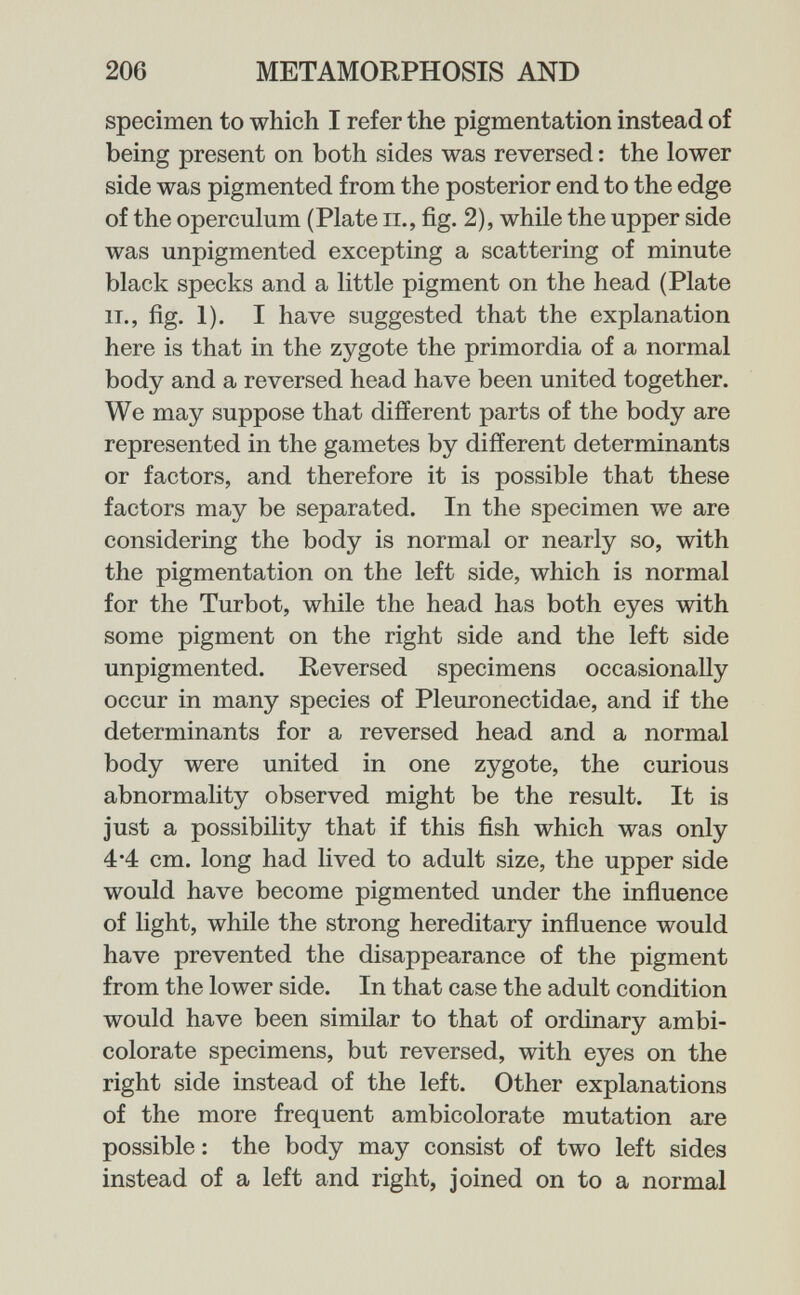 206 METAMORPHOSIS AND specimen to which I refer the pigmentation instead of being present on both sides was reversed ; the lower side was pigmented from the posterior end to the edge of the operculum (Plate п., fig. 2), while the upper side was unpigmented excepting a scattering of minute black specks and a little pigment on the head (Plate IT., fig. 1). I have suggested that the explanation here is that in the zygote the primordia of a normal body and a reversed head have been united together. We may suppose that different parts of the body are represented in the gametes by different determinants or factors, and therefore it is possible that these factors may be separated. In the specimen we are considering the body is normal or nearly so, with the pigmentation on the left side, which is normal for the Turbot, while the head has both eyes with some pigment on the right side and the left side unpigmented. Reversed specimens occasionally occur in many species of Pleuronectidae, and if the determinants for a reversed head and a normal body were united in one zygote, the curious abnormality observed might be the result. It is just a possibility that if this fish which was only 4*4 cm. long had lived to adult size, the upper side would have become pigmented under the influence of light, while the strong hereditary influence would have prevented the disappearance of the pigment from the lower side. In that case the adult condition would have been similar to that of ordinary ambi- colorate specimens, but reversed, with eyes on the right side instead of the left. Other explanations of the more frequent ambicolorate mutation are possible : the body may consist of two left sides instead of a left and right, Joined on to a normal