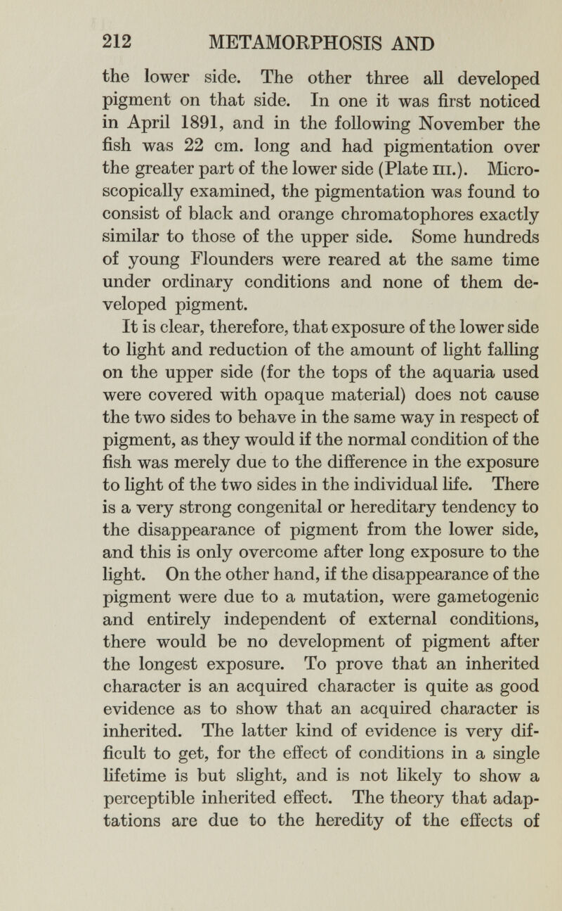 212 METAMORPHOSIS AND the lower side. The other three all developed pigment on that side. In one it was first noticed in April 1891, and in the following November the fish was 22 cm. long and had pigmentation over the greater part of the lower side (Plate iii.). Micro¬ scopically examined, the pigmentation was found to consist of black and orange chromatophores exactly similar to those of the upper side. Some hundreds of young Flounders were reared at the same time under ordinary conditions and none of them de¬ veloped pigment. It is clear, therefore, that exposure of the lower side to light and reduction of the amount of light falling on the upper side (for the tops of the aquaria used were covered with opaque material) does not cause the two sides to behave in the same way in respect of pigment, as they would if the normal condition of the fish was merely due to the difference in the exposure to light of the two sides in the individual life. There is a very strong congenital or hereditary tendency to the disappearance of pigment from the lower side, and this is only overcome after long exposure to the light. On the other hand, if the disappearance of the pigment were due to a mutation, were gametogenic and entirely independent of external conditions, there would be no development of pigment after the longest exposure. To prove that an inherited character is an acquired character is quite as good evidence as to show that an acquired character is inherited. The latter kind of evidence is very dif¬ ficult to get, for the effect of conditions in a single lifetime is but slight, and is not likely to show a perceptible inherited effect. The theory that adap¬ tations are due to the heredity of the effects of