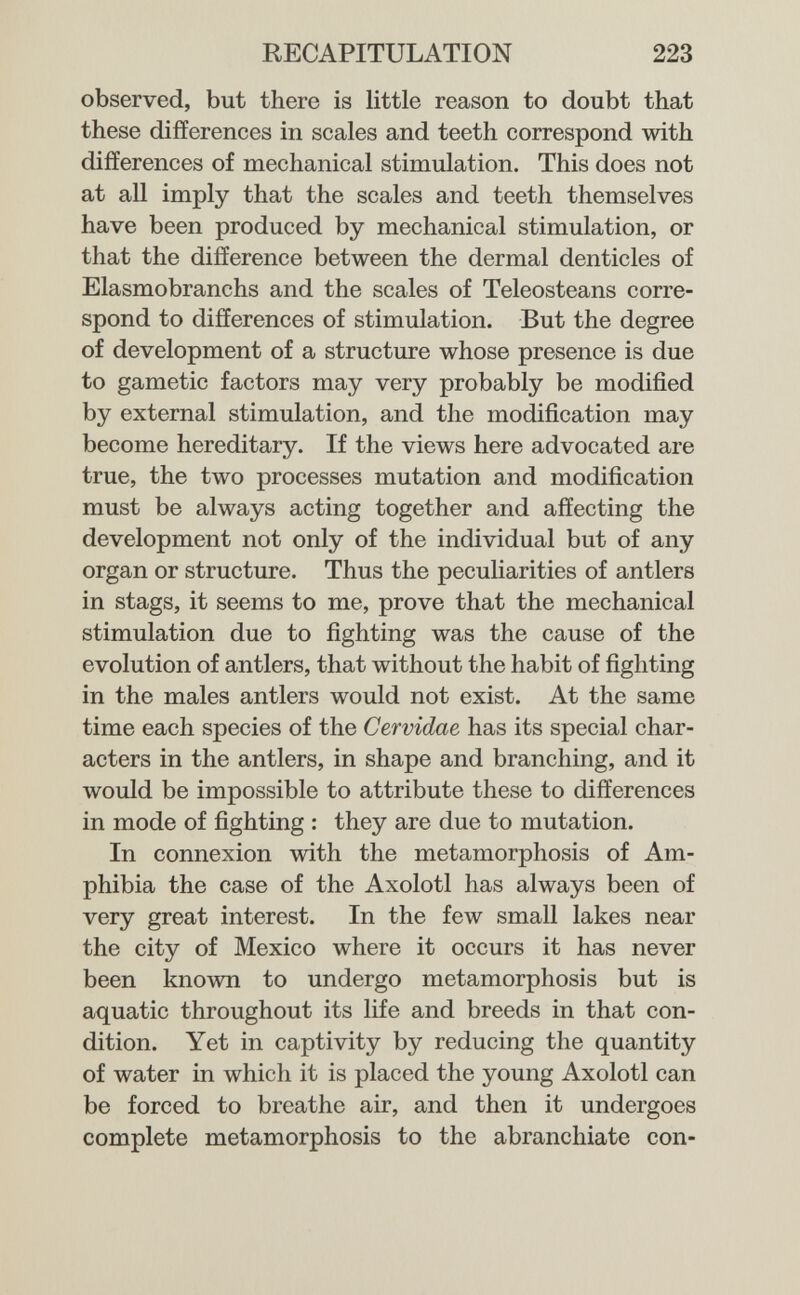 RECAPITULATION 223 observed, but there is little reason to doubt that these differences in scales and teeth correspond with differences of mechanical stimulation. This does not at all imply that the scales and teeth themselves have been produced by mechanical stimulation, or that the difference between the dermal denticles of Elasmobranchs and the scales of Teleosteans corre¬ spond to differences of stimulation. But the degree of development of a structure whose presence is due to gametic factors may very probably be modified by external stimulation, and the modification may become hereditary. If the views here advocated are true, the two processes mutation and modification must be always acting together and affecting the development not only of the individual but of any organ or structure. Thus the peculiarities of antlers in stags, it seems to me, prove that the mechanical stimulation due to fighting was the cause of the evolution of antlers, that without the habit of fighting in the males antlers would not exist. At the same time each species of the Cervidae has its special char¬ acters in the antlers, in shape and branching, and it would be impossible to attribute these to differences in mode of fighting : they are due to mutation. In connexion with the metamorphosis of Am¬ phibia the case of the Axolotl has always been of very great interest. In the few small lakes near the city of Mexico where it occurs it has never been known to undergo metamorphosis but is aquatic throughout its life and breeds in that con¬ dition. Yet in captivity by reducing the quantity of water in which it is placed the young Axolotl can be forced to breathe air, and then it undergoes complete metamorphosis to the abranchiate con-