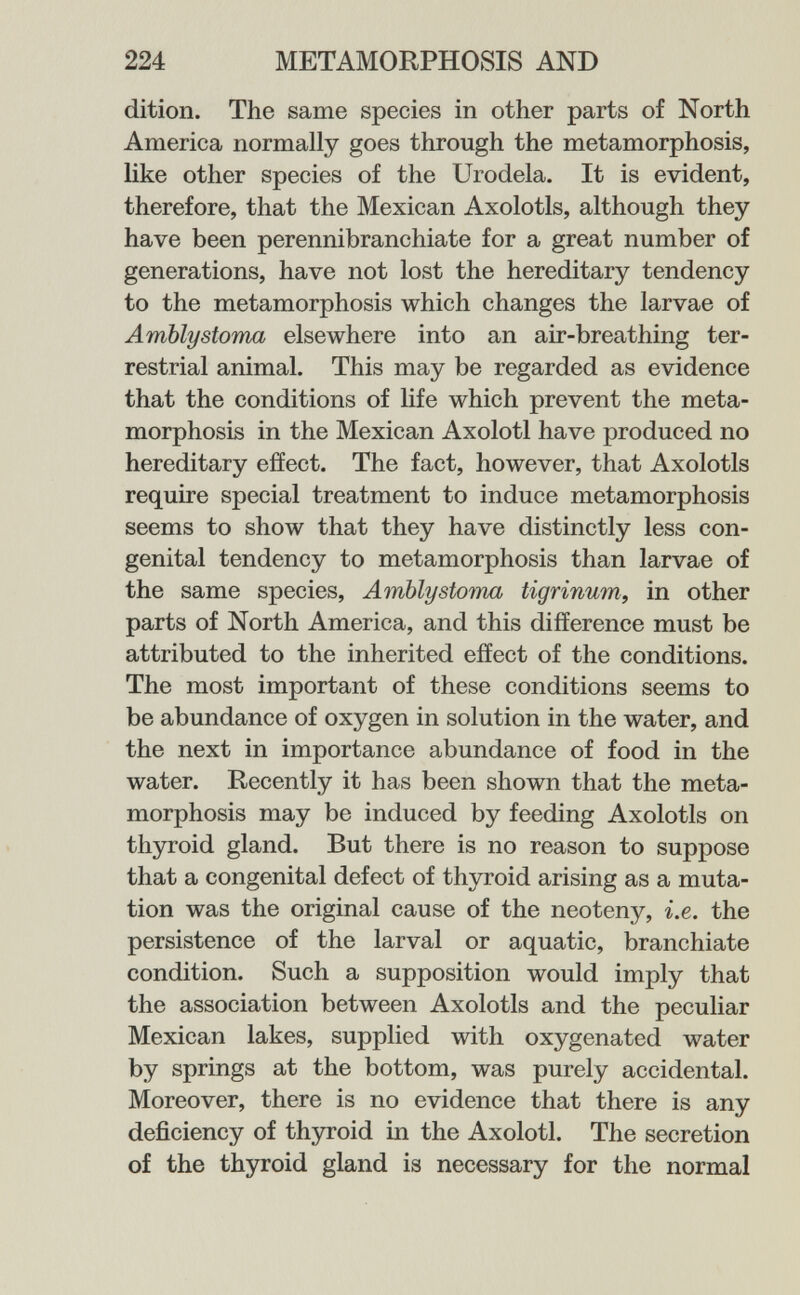 224 METAMORPHOSIS AND dition. The same species in other parts of North America normally goes through the metamorphosis, like other species of the Urodela. It is evident, therefore, that the Mexican Axolotls, although they have been perennibranchiate for a great number of generations, have not lost the hereditary tendency to the metamorphosis which changes the larvae of АтЫуstoma elsewhere into an air-breathing ter¬ restrial animal. This may be regarded as evidence that the conditions of life which prevent the meta¬ morphosis in the Mexican Axolotl have produced no hereditary effect. The fact, however, that Axolotls require special treatment to induce metamorphosis seems to show that they have distinctly less con¬ genital tendency to metamorphosis than larvae of the same species, Amblystoma tigrinum, in other parts of North America, and this difference must be attributed to the inherited effect of the conditions. The most important of these conditions seems to be abundance of oxygen in solution in the water, and the next in importance abundance of food in the water. Recently it has been shown that the meta¬ morphosis may be induced by feeding Axolotls on thyroid gland. But there is no reason to suppose that a congenital defect of thyroid arising as a muta¬ tion was the original cause of the neoteny, i.e. the persistence of the larval or aquatic, branchiate condition. Such a supposition would imply that the association between Axolotls and the peculiar Mexican lakes, supplied with oxygenated water by springs at the bottom, was purely accidental. Moreover, there is no evidence that there is any deficiency of thyroid in the Axolotl. The secretion of the thyroid gland is necessary for the normal