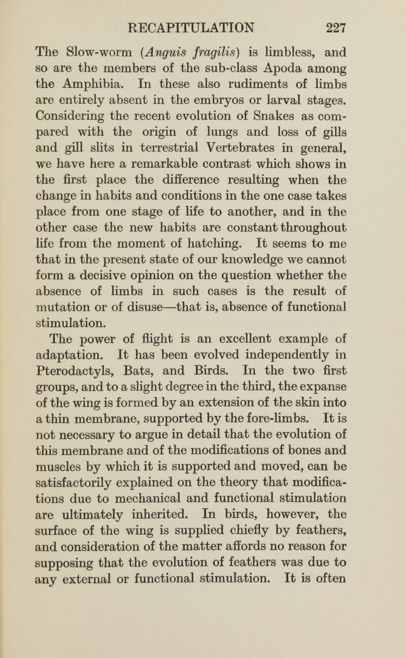 RECAPITULATION 227 The Slow-worm {Anguis fragilis) is limbless, and so are the members of the sub-class Apoda among the Amphibia. In these also rudiments of limbs are entirely absent in the embryos or larval stages. Considering the recent evolution of Snakes as com¬ pared with the origin of lungs and loss of gills and gill slits in terrestrial Vertebrates in general, we have here a remarkable contrast which shows in the first place the difference resulting when the change in habits and conditions in the one case takes place from one stage of life to another, and in the other case the new habits are constant throughout life from the moment of hatching. It seems to me that in the present state of our knowledge we cannot form a decisive opinion on the question whether the absence of limbs in such cases is the result of mutation or of disuse—that is, absence of functional stimulation. The power of flight is an excellent example of adaptation. It has been evolved independently in Pterodactyls, Bats, and Birds. In the two first groups, and to a slight degree in the third, the expanse of the wing is formed by an extension of the skin into a thin membrane, supported by the fore-limbs. It is not necessary to argue in detail that the evolution of this membrane and of the modifications of bones and muscles by which it is supported and moved, can be satisfactorily explained on the theory that modifica¬ tions due to mechanical and functional stimulation are ultimately inherited. In birds, however, the surface of the wing is supplied chiefly by feathers, and consideration of the matter affords no reason for supposing that the evolution of feathers was due to any external or functional stimulation. It is often