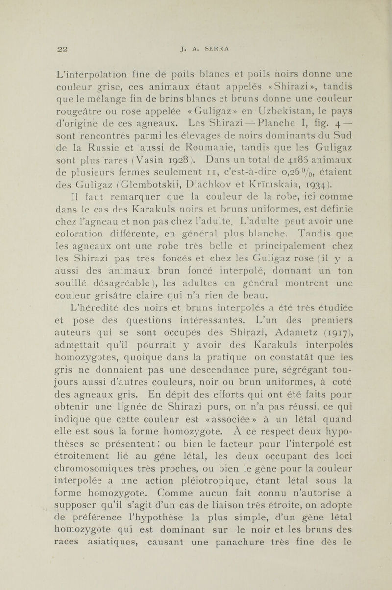 L'interpolation fine de poils blancs et poils noirs donne une couleur grise, ces animaux étant appelés «Shirazi», tandis que le mélange fin de brins blancs et bruns donne une couleur rougeâtre ou rose appelée «Guligaz» en Uzbekistan, le pays d'origine de ces agneaux. Les Shirazi — Planche I, fig. 4 — sont rencontrés parmi les élevages de noirs dominants du Sud de la Russie et aussi de Roumanie, tandis que les Guligaz sont plus rares (Vasin 1928 ). Dans un total de 4186 animaux de plusieurs fermes seulement ir, c'est-à-dire 0,26%, étaient des Guligaz (Glembotskii, Diachkov et Krïmskaia, 1934). Il faut remarquer que la couleur de la robe, ici comme dans le cas des Karakuls noirs et bruns uniformes, est définie chez l'agneau et non pas chez l'adulte. L'adulte peut avoir une coloration différente, en général plus blanche. Tandis que les agneaux ont une robe très belle et principalement chez les Shirazi pas très foncés et chez les Guligaz rose (il y a aussi des animaux brun foncé interpolé, donnant un ton souillé désagréable), les adultes en général montrent une couleur grisâtre claire qui n'a rien de beau. L'hérédité des noirs et bruns interpolés a été très étudiée et pose des questions intéressantes. L'un des premiers auteurs qui se sont occupés des Shirazi, Adametz (1917), admettait qu'il pourrait y avoir des Karakuls interpolés homozygotes, quoique dans la pratique on constatât que les gris ne donnaient pas une descendance pure, ségrégant tou jours aussi d'autres couleurs, noir ou brun uniformes, à coté des agneaux gris. En dépit des efforts qui ont été faits pour obtenir une lignée de Shirazi purs, on n'a pas réussi, ce qui indique que cette couleur est «associée» à un létal quand elle est sous la forme homozygote. À ce respect deux hypo thèses se présentent : ou bien le facteur pour l'interpolé est étroitement lié au gène létal, les deux occupant des loci chromosomiques très proches, ou bien le gène pour la couleur interpolée a une action pléiotropique, étant létal sous la forme homozygote. Comme aucun fait connu n'autorise à supposer qu'il s'agit d'un cas de liaison très étroite, on adopte de préférence l'hypothèse la plus simple, d'un gène létal homozygote qui est dominant sur le noir et les bruns des races asiatiques, causant une panachure très fine dès le