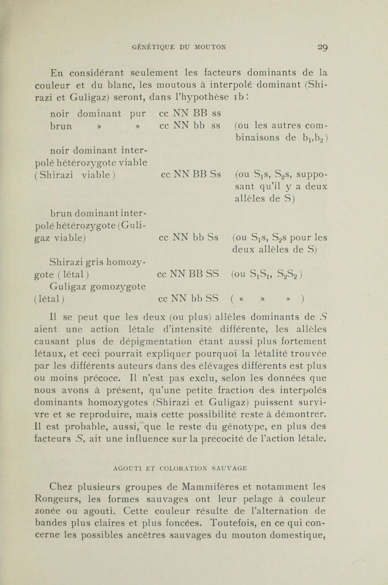 En considérant seulement les facteurs dominants de la couleur et du blanc, les moutous à interpolé dominant (Shi- razi et Guligaz) seront, dans l'hypothèse ib : noir dominant pur cc NN BB ss » » cc NN bb ss brun » » noir dominant inter polé hétérozygote viable (Shirazi viable) brun dominant inter polé hétérozygote (Guli- gaz viable) Shirazi gris homozy gote (létal ) Guligaz gomozygote (létal) cc NN BB Ss (ou les autres com binaisons de b!,b 2 ) (ou SjS, S 2 s, suppo sant qu'il y a deux alleles de S) cc NN bb Ss (ou Sjs, S 2 s pour les deux alleles de S) cc NN BBSS (ou SjSj, S 2 S 2 ) cc NN bb SS ( « » » ) Il se peut que les deux (ou plus) alleles dominants de S aient une action létale d'intensité différente, les alleles causant plus de dépigmentation étant aussi plus fortement létaux, et ceci pourrait expliquer pourquoi la létalité trouvée par les différents auteurs dans des élévages différents est plus ou moins précoce. Il n'est pas exclu, selon les données que nous avons à présent, qu'une petite fraction des interpolés dominants homozygotes (Shirazi et Guligaz) puissent survi vre et se reproduire, mais cette possibilité reste à démontrer. Il est probable, aussi, que le reste du génotype, en plus des facteurs S, ait une influence sur la précocité de l'action létale. agouti et coloration sauvage Chez plusieurs groupes de Mammifères et notamment les Rongeurs, les formes sauvages ont leur pelage à couleur zonée ou agouti. Cette couleur résulte de l'alternation de bandes plus claires et plus foncées. Toutefois, en ce qui con cerne les possibles ancêtres sauvages du mouton domestique,