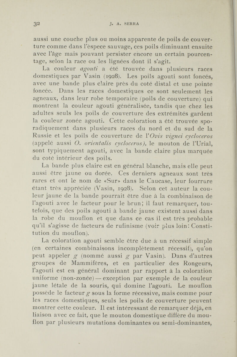 aussi une couche plus ou moins apparente de poils de couver ture comme dans l'èspece sauvage, ces poils diminuant ensuite avec l'âge mais pouvant persister encore un certain pourcen tage, selon la race ou les lignées dont il s'agit. La couleur agouti a été trouvée dans plusieurs races domestiques par Vasin (1928). Les poils agouti sont foncés, avec une bande plus claire près du coté distai et une pointe foncée. Dans les races domestiques ce sont seulement les agneaux, dans leur robe temporaire (poils de couverture) qui montrent la couleur agouti généralisée, tandis que chez les adultes seuls les poils de couverture des extrémités gardent la couleur zonée agouti. Cette coloration a été trouvée spo radiquement dans plusieurs races du nord et du sud de la Russie et les poils de couverture de Y Ovis vignei cycloceros (appelé aussi O. orientalis cycloceros), le mouton de l'Urial, sont typiquement agouti, avec la bande claire plus marquée du coté intérieur des poils. La bande plus claire est en général blanche, mais elle peut aussi être jaune ou dorée. Ces derniers agneaux sont très rares et ont le nom de «Sur» dans le Caucase, leur fourrure étant très appréciée (Vasin, 1928). Selon cet auteur la cou leur jaune de la bande pourrait être due à la combinaison de l'agouti avec le facteur pour le brun; il faut remarquer, tou tefois, que des poils agouti à bande jaune existent aussi dans la robe du mouflon et que dans ce cas il est très probable qu'il s'agisse de facteurs de rufinisme (voir plus loin: Consti tution du mouflon). La coloration agouti semble être due à un récessif simple (en certaines combinaisons incomplètement récessif), qu'on peut appeler g (nommé aussi g par Vasin). Dans d'autres groupes de Mammifères, et en particulier des Rongeurs, l'agouti est en général dominant par rapport à la coloration uniforme (non-zonée) — exception par exemple de la couleur jaune létale de la souris, qui domine l'agouti. Le mouflon possède le facteur^ sous la forme récessive, mais comme pour les races domestiques, seuls les poils de couverture peuvent montrer cette couleur. Il est intéressant de remarquer déjà, en liaison avec ce fait, que le mouton domestique diffère du mou flon par plusieurs mutations dominantes ou semi-dominantes,