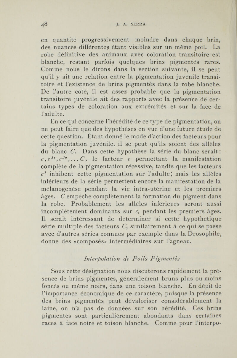 en quantité progressivement moindre dans chaque brin, des nuances différentes étant visibles sur un même poil. La robe définitive des animaux avec coloration transitoire est blanche, restant parfois quelques brins pigmentés rares. Comme nous le dirons dans la section suivante, il se peut qu'il y ait une relation entre la pigmentation juvénile transi toire et l'existence de brins pigmentés dans la robe blanche. De l'autre coté, il est assez probable que la pigmentation transitoire juvénile ait des rapports avec la présence de cer tains types de coloration aux extrémités et sur la face de l'adulte. En ce qui concerne l'hérédité de ce type de pigmentation, on ne peut faire que des hypothèses en vue d'une future étude de cette question. Etant donné le mode d'action des facteurs pour la pigmentation juvénile, il se peut qu'ils soient des alleles du blanc C. Dans cette hypothèse la série du blanc serait : c, c Jl , c J2 , ... C, le facteur c permettant la manifestation complète de la pigmentation récessive, tandis que les facteurs c J inhibent cette pigmentation sur l'adulte; mais les allèles inférieurs de la série permettent encore la manifestation de la mélanogenèse pendant la vie intra-utérine et les premiers âges. C empêche complètement la formation du pigment dans la robe. Probablement les allèles inférieurs seront aussi incomplètement dominants sur c, pendant les premiers âges. 11 serait intéressant de déterminer si cette hypothétique série multiple des facteurs C, similairement á ce qui se passe avec d'autres séries connues par exemple dans la Drosophile, donne des «composés» intermédiaires sur l'agneau. Interpolation de Poils Pigmentés Sous cette désignation nous discuterons rapidement la pré sence de brins pigmentés, généralement bruns plus ou moins foncés ou même noirs, dans une toison blanche. En dépit de l'importance économique de ce caractère, puisque la présence des brins pigmentés peut dévaloriser considérablement la laine, on n'a pas de données sur son hérédité. Ces brins pigmentés sont particulièrement abondants dans certaines races à face noire et toison blanche. Comme pour l'interpo-