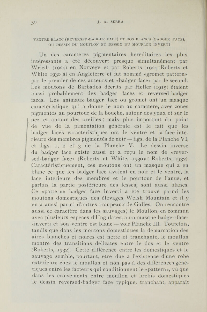 ventre blanc (reversed-badger face) et dos blancs (badger face), ou dessin du mouflon et dessin du mouflon inverti Un des caractères pigmentaires héréditaires les plus intéressants a été découvert presque simultanément par Wriedt (1924) en Norvège et par Roberts (1924 ; Roberts et White 1930 a) en Angleterre et fut nommé «gromet pattern» par le premier de ces auteurs et «badger face» par le second. Les moutons de Barbados décrits par Heller (1915) étaient aussi probablement des badger faces et reversed-badger faces. Les animaux badger face ou gromet ont un masque caractéristique qui a donné le nom au caractère, avec zones pigmentés au pourtour de la bouche, autour des yeux et sur le nez et autour des oreilles ; mais plus important du point de vue de la pimentation générale est le fait que les badger faces caractéristiques ont le ventre et la face inté rieure des membres pigmentés de noir — figs, de la Planche VI, et figs, i, 2 et 3 de la Planche V. Le dessin inverse du badger face existe aussi et a reçu le nom de «rever sed-badger face» (Roberts et White, 1930a; Roberts, 1932). Caractéristiquement, ces moutons ont un masque qui a en blanc ce que les badger face avaient en noir et le ventre, la face intérieure des membres et le pourtour de l'anus, et parfois la partie postérieure des fesses, sont aussi blancs. Ce «pattern» badger face inverti a été trouvé parmi les moutons domestiques des élevages Welsh Mountain et il y en a aussi parmi d'autres troupeaux de Galles. On rencontre aussi ce caractère dans les sauvages; le Mouflon, en commun avec plusieurs espèces d'Ungulates, a un masque badger-face- -inverti et son ventre est blanc — voir Planche III. Toutefois, tandis que dans les moutons domestiques la démarcation des aires blanches et noires est nette et tranchante, le mouflon montre des transitions délicates entre le dos et le ventre (Roberts, 1932). Cette différence entre les domestiques et le sauvage semble, pourtant, être due à l'existence d'une robe extérieure chez le mouflon et non pas à des différences géné tiques entre les facteurs qui conditionnent le «pattern», vû que dans les croisements entre mouflon et brebis domestiques le dessin reversed-badger face typique, tranchant, apparaît