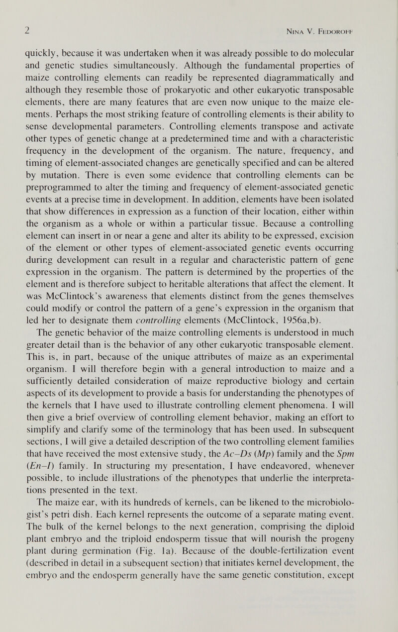 2 Nina V. Fedorohf quickly, because it was undertaken when it was already possible to do molecular and genetic studies simultaneously. Although the fundamental properties of maize controlling elements can readily be represented diagrammatically and although they resemble those of prokaryotic and other eukaryotic transposable elements, there are many features that are even now unique to the maize ele¬ ments. Perhaps the most striking feature of controlling elements is their ability to sense developmental parameters. Controlling elements transpose and activate other types of genetic change at a predetermined time and with a characteristic frequency in the development of the organism. The nature, frequency, and timing of element-associated changes are genetically specified and can be altered by mutation. There is even some evidence that controlling elements can be preprogrammed to alter the timing and frequency of element-associated genetic events at a precise time in development. In addition, elements have been isolated that show differences in expression as a function of their location, either within the organism as a whole or within a particular tissue. Because a controlling element can insert in or near a gene and alter its ability to be expressed, excision of the element or other types of element-associated genetic events occurring during development can result in a regular and characteristic pattern of gene expression in the organism. The pattern is determined by the properties of the element and is therefore subject to heritable alterations that affect the element. It was McClintock's awareness that elements distinct from the genes themselves could modify or control the pattern of a gene's expression in the organism that led her to designate them controlling elements (McClintock, 1956a,b). The genetic behavior of the maize controlling elements is understood in much greater detail than is the behavior of any other eukaryotic transposable element. This is, in part, because of the unique attributes of maize as an experimental organism. I will therefore begin with a general introduction to maize and a sufficiently detailed consideration of maize reproductive biology and certain aspects of its development to provide a basis for understanding the phenotypes of the kernels that I have used to illustrate controlling element phenomena. I will then give a brief overview of controlling element behavior, making an effort to simplify and clarify some of the terminology that has been used. In subsequent sections, I will give a detailed description of the two controlling element families that have received the most extensive study, the Ac-Ds (Mp) family and the Spm (En-I) family. In structuring my presentation, I have endeavored, whenever possible, to include illustrations of the phenotypes that underlie the inteфreta- tions presented in the text. The maize ear, with its hundreds of kernels, can be likened to the microbiolo¬ gist's petri dish. Each kernel represents the outcome of a separate mating event. The bulk of the kernel belongs to the next generation, comprising the diploid plant embryo and the triploid endosperm tissue that will nourish the progeny plant during germination (Fig. la). Because of the double-fertilization event (described in detail in a subsequent section) that initiates kernel development, the embryo and the endosperm generally have the same genetic constitution, except