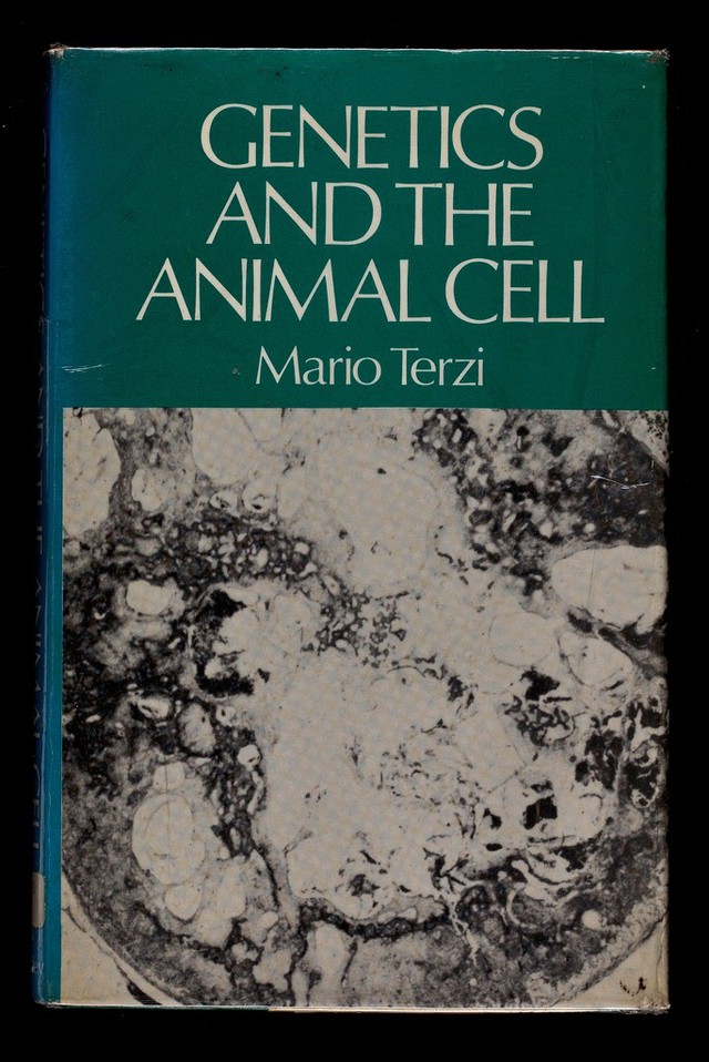 No text description is available for this image