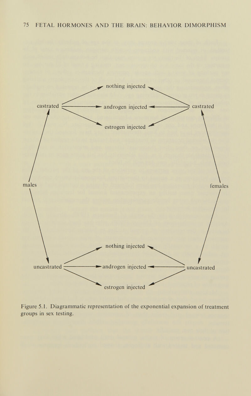 75 FETAL HORMONES AND THE BRAIN: BEHAVIOR DIMORPHISM Figure 5.1. Diagrammatic representation of the exponential expansion of treatment groups in sex testing.