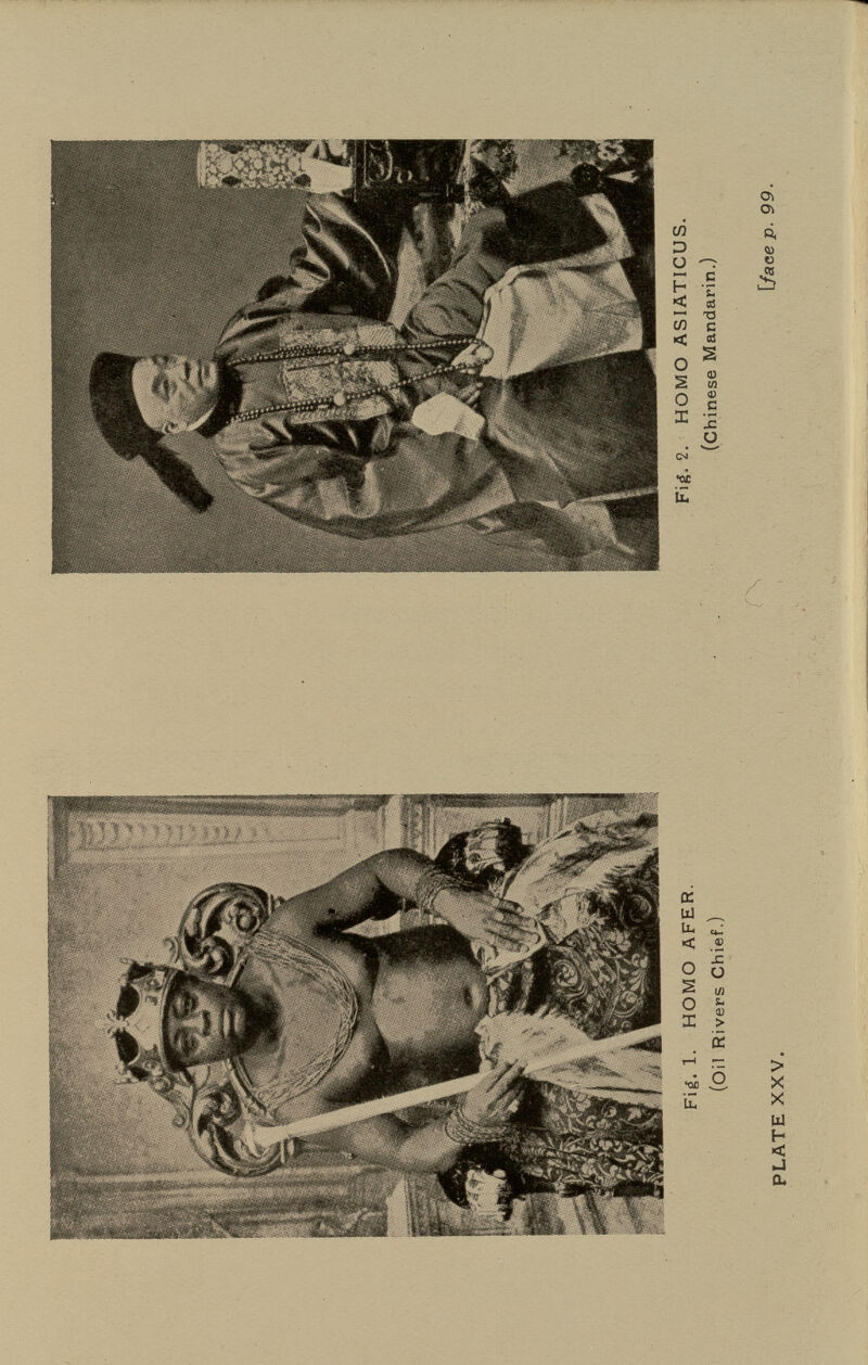 a: < 05 Об Ä 1Л s ^ X > ■Oil iiü a ó > X X ш H < nJ ou