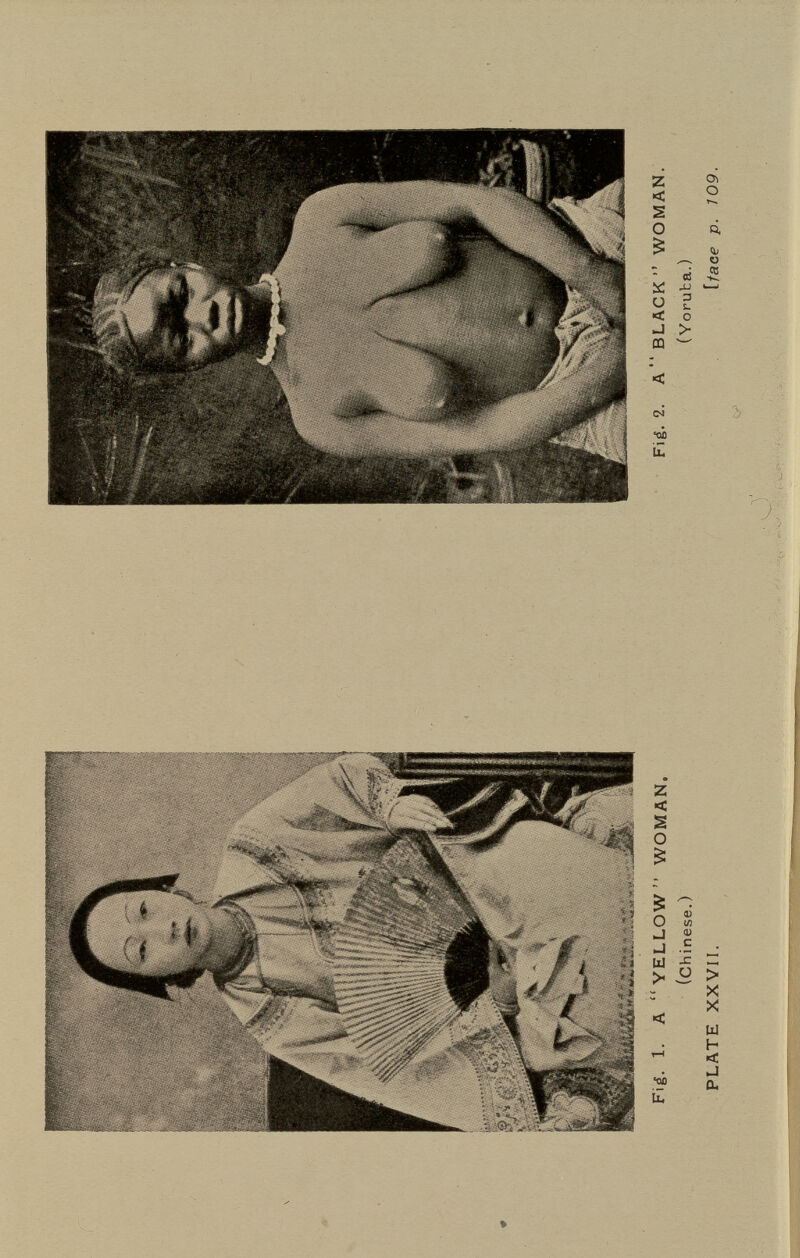 Z < S 2 О d. ^ 4) ^ о - « ^ < о J > DQ ^ ■ob iu z < s о о M ^ с •J - -: Щ X „ > S > X X Ш - s ij .■5? Du II.