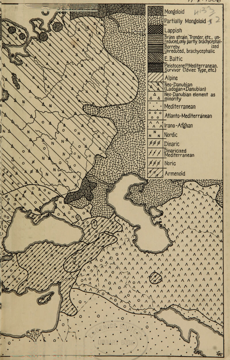 £. Baltic Pleistocene<?>Mediterrar\ean. Neo-Danubian element as minority Aflanto-Mediterranean LÌ /-'?i l-r<l -iE? 2/•<>.' fei r/4<>.V •X t'à/5 A A A A AAA A * A /T A A A A A A A A A / 'A A A A A A A A A A A A A AAA A A ^ a A A A A A //~ A A A A A -iA A A A A A 'A A A A A A A A a A A A A A A A A A A A A 0 A> AAA A A A A A A AAAAA -A A A A A AAAAAAAAA r A °/ v \ A a A A A A A A A a A A A A A A A UWA A° A—OA A A /fvA A A O A * A A A/ A A ° A i O A A ¿ A ° A A nc _>^ _A A 0 A \ A A AAA AAAAAA A A AH. AAAAAAAAAAA A A \A A A A AA A A A A ' A ° A )A A AAAA AAA A AAAAAA AAA A A A a a a a a \\\ A A A A A AA A À o \