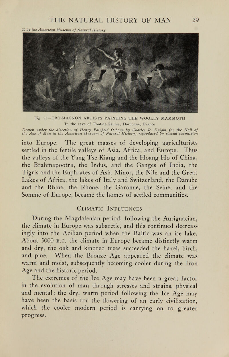 © by the American Museum of Natural History Fig. 23 -CRO-MAGNON ARTISTS PAINTING THE WOOLLY MAMMOTH In the cave of Font-de-Gaume, Dordogne, France Prawn under the direction of Henry Fairfield Osborn by Charles R. Knight for the Hall of the Age of Man in the American Museum of Natural History; reproduced by special permission into Europe. The great masses of developing agriculturists settled in the fertile valleys of Asia, Africa, and Europe. Thus the valleys of the Yang Tse Kiang and the Hoang Ho of China, the Brahmapootra, the Indus, and the Ganges of India, the Tigris and the Euphrates of Asia Minor, the Nile and the Great Lakes of Africa, the lakes of Italy and Switzerland, the Danube and the Rhine, the Rhone, the Garonne, the Seine, and the Somme of Europe, became the homes of settled communities. Climatic Influences During the Magdalenian period, following the Aurignacian, the climate in Europe was subarctic, and this continued decreas- ingly into the Azilian period when the Baltic was an ice lake. About 5000 B.c. the climate in Europe became distinctly warm and dry, the oak and kindred trees succeeded the hazel, birch, and pine. When the Bronze Age appeared the climate was warm and moist, subsequently becoming cooler during the Iron Age and the historic period. The extremes of the Ice Age may have been a great factor in the evolution of man through stresses and strains, physical and mental; the dry, warm period following the Ice Age may have been the basis for the flowering of an early civilization, which the cooler modern period is carrying on to greater progress.