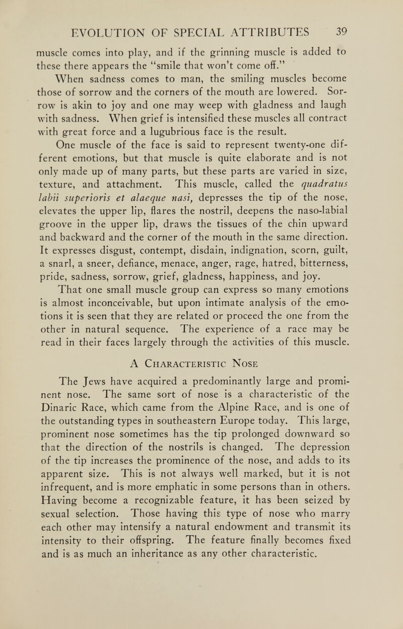 muscle comes into play, and if the grinning muscle is added to these there appears the “smile that won’t come off.” When sadness comes to man, the smiling muscles become those of sorrow and the corners of the mouth are lowered. Sor row is akin to joy and one may weep with gladness and laugh with sadness. When grief is intensified these muscles all contract with great force and a lugubrious face is the result. One muscle of the face is said to represent twenty-one dif ferent emotions, but that muscle is quite elaborate and is not only made up of many parts, but these parts are varied in size, texture, and attachment. This muscle, called the quadratus labii superioris et alaeque nasi, depresses the tip of the nose, elevates the upper lip, flares the nostril, deepens the naso-labial groove in the upper lip, draws the tissues of the chin upward and backward and the corner of the mouth in the same direction. It expresses disgust, contempt, disdain, indignation, scorn, guilt, a snarl, a sneer, defiance, menace, anger, rage, hatred, bitterness, pride, sadness, sorrow, grief, gladness, happiness, and joy. That one small muscle group can express so many emotions is almost inconceivable, but upon intimate analysis of the emo tions it is seen that they are related or proceed the one from the other in natural sequence. The experience of a race may be read in their faces largely through the activities of this muscle. A Characteristic Nose The Jews have acquired a predominantly large and promi nent nose. The same sort of nose is a characteristic of the Dinaric Race, which came from the Alpine Race, and is one of the outstanding types in southeastern Europe today. This large, prominent nose sometimes has the tip prolonged downward so that the direction of the nostrils is changed. The depression of the tip increases the prominence of the nose, and adds to its apparent size. This is not always well marked, but it is not infrequent, and is more emphatic in some persons than in others. Having become a recognizable feature, it has been seized by sexual selection. Those having this type of nose who marry each other may intensify a natural endowment and transmit its intensity to their offspring. The feature finally becomes fixed and is as much an inheritance as any other characteristic.