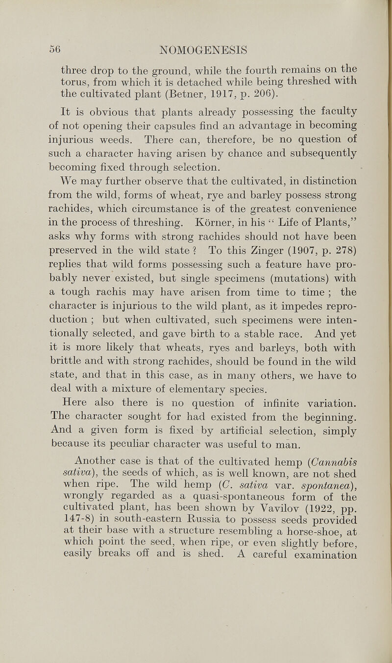 three drop to the ground, while the fourth remains on the torus, from which it is detached while being threshed with the cultivated plant (Betner, 1917, p. 206). It is obvious that plants already possessing the faculty of not opening their capsules find an advantage in becoming injurious weeds. There can, therefore, be no question of such a character having arisen bj^ chance and subsequently becoming fixed through selection. We may further observe that the cultivated, in distinction from the wild, forms of wheat, rye and barley possess strong rachides, which circumstance is of the greatest convenience in the process of threshing. Körner, in his  Life of Plants, asks why forms with strong rachides should not have been preserved in the wild state? To this Zinger (1907, p. 278) replies that wild forms possessing such a feature have pro bably never existed, but single specimens (mutations) with a tough rachis may have arisen from time to time ; the character is injurious to the wild plant, as it impedes repro duction ; but when cultivated, such specimens were inten tionally selected, and gave birth to a stable race. And yet it is more likely that wheats, ryes and barleys, both with brittle and with strong rachides, should be found in the wild state, and that in this case, as in many others, we have to deal with a mixture of elementary species. Here also there is no question of infinite variation. The character sought for had existed from the beginning. And a given form is fixed by artificial selection, simply because its peculiar character was useful to man. Another case is that of the cultivated hemp ( Cannabis ■sativa), the seeds of which, as is well known, are not shed when ripe. The wild hemp (C. sativa var. spontanea), wrongly regarded as a quasi-spontaneous form of the cultivated plant, has been shown by Vavilov (1922, pp. 147-8) in south-eastern Russia to possess seeds provided at their base with a structure resembling a horse-shoe, at which point the seed, when ripe, or even slightly before, easily breaks off and is shed. A careful examination