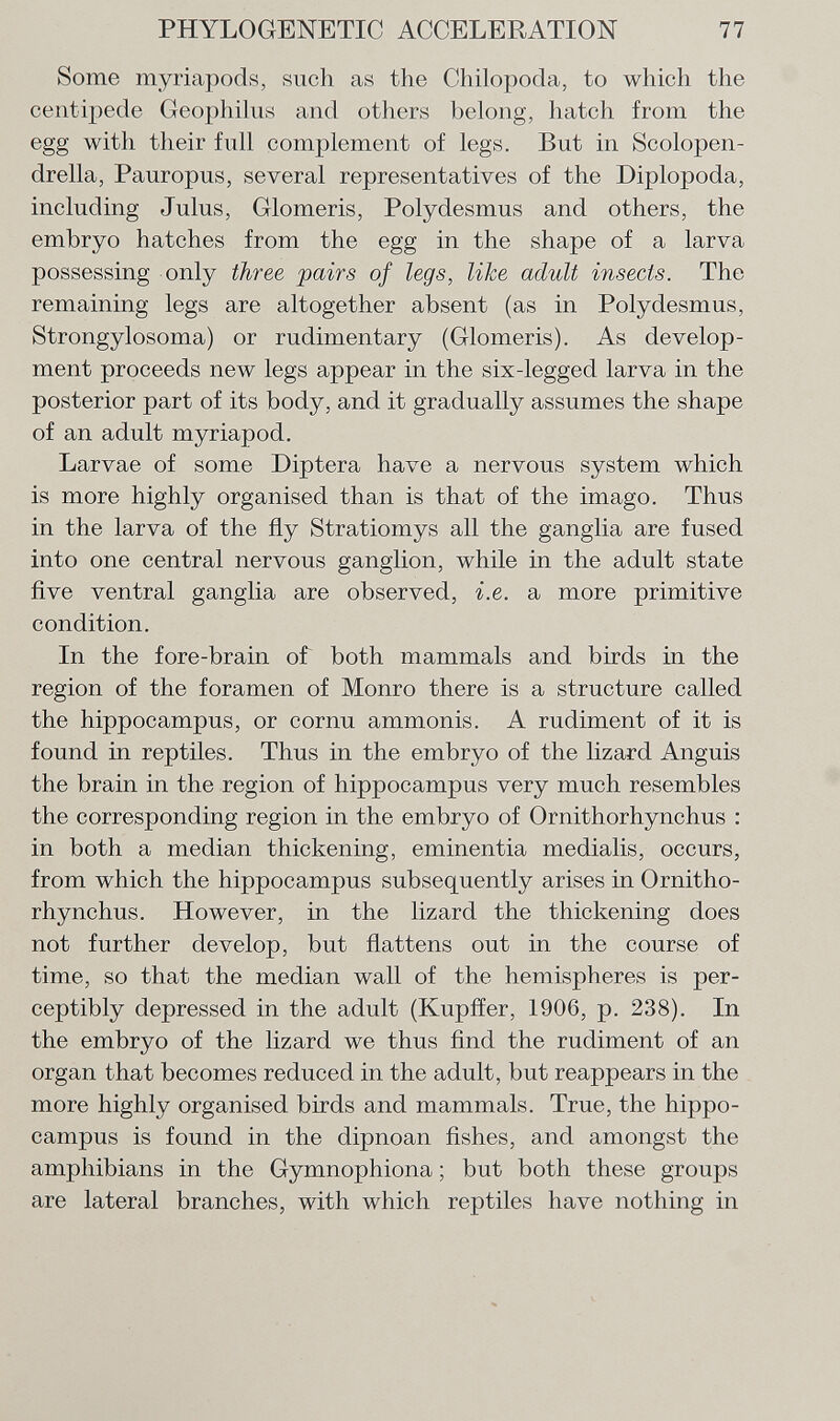 Some myriapods, such as the Chilopoda, to which the centipede Geophilus and others belong, hatch from the egg with their full complement of legs. But in Scolopen- drella, Pauropus, several representatives of the Diplopoda, including Julus, Glomeris, Polydesmus and others, the embryo hatches from the egg in the shape of a larva possessing only three pairs of legs, like adult insects. The remaining legs are altogether absent (as in Polydesmus, Strongylosoma) or rudimentary (Glomeris). As develop ment proceeds new legs appear in the six-legged larva in the posterior part of its body, and it gradually assumes the shape of an adult myriapod. Larvae of some Diptera have a nervous system which is more highly organised than is that of the imago. Thus in the larva of the fly Stratiomys all the ganglia are fused into one central nervous ganglion, while in the adult state five ventral ganglia are observed, i.e. a more primitive condition. In the fore-brain of both mammals and birds in the region of the foramen of Monro there is a structure called the hippocampus, or cornu ammonis. A rudiment of it is found in reptiles. Thus in the embryo of the lizard Anguis the brain in the region of hippocampus very much resembles the corresponding region in the embryo of Ornithorhynchus : in both a median thickening, eminentia medialis, occurs, from which the hippocampus subsequently arises in Ornitho rhynchus. However, in the lizard the thickening does not further develop, but flattens out in the course of time, so that the median wall of the hemispheres is per ceptibly depressed in the adult (Kupffer, 1906, p. 238). In the embryo of the lizard we thus find the rudiment of an organ that becomes reduced in the adult, but reappears in the more highly organised birds and mammals. True, the hippo campus is found in the dipnoan fishes, and amongst the amphibians in the Gymnophiona ; but both these groups are lateral branches, with which reptiles have nothing in