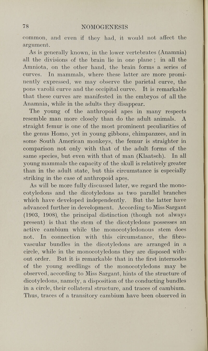 common, and even if they had, it would not affect the argument. As is generally known, in the lower vertebrates (Anamnia) all the divisions of the brain lie in one plane ; in all the Amniota, on the other hand, the brain forms a series of curves. In mammals, where these latter are more promi nently expressed, we may observe the parietal curve, the pons varolii curve and the occipital curve. It is remarkable that these curves are manifested in the embryos of all the Anamnia, while in the adults they disappear. The young of the anthropoid apes in many respects resemble man more closely than do the adult animals. A straight femur is one of the most prominent peculiarities of the genus Homo, yet in young gibbons, chimpanzees, and in some South American monkeys, the femur is straighter in comparison not only with that of the adult forms of the same species, but even with that of man (Klaatsch). In all young mammals the capacity of the skull is relatively greater than in the adult state, but this circumstance is especially striking in the case of anthropoid apes. As will be more fully discussed later, we regard the mono cotyledons and the dicotyledons as two parallel branches which have developed independently. But the latter have advanced further in development. According to Miss Sargant (1903, 1908), the principal distinction (though not always present) is that the stem of the dicotyledons possesses an active cambium while the monocotyledonous stem does not. In connection with this circumstance, the fibro- vascular bundles in the dicotyledons are arranged in a circle, while in the monocotyledons they are disposed with out order. But it is remarkable that in the first internodes of the young seedlings of the monocotyledons may be observed, according to Miss Sargant, hints of the structure of dicotyledons, namely, a disposition of the conducting bundles in a circle, their collateral structure, and traces of cambium. Thus, traces of a transitory cambium have been observed in
