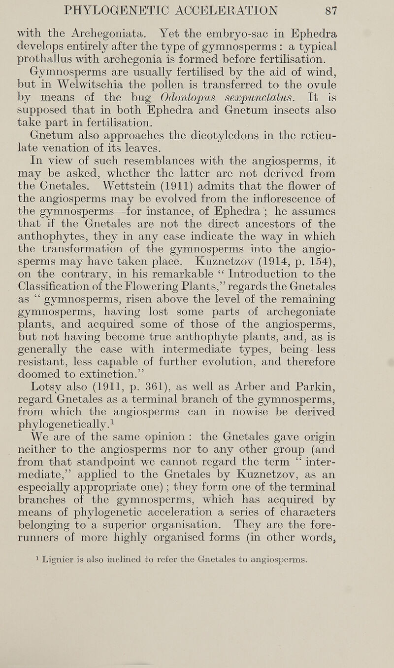 with the Archegoniata. Yet the embryo-sac in Ephedra develops entirely after the type of gymnosperms : a typical prothallus with archegonia is formed before fertilisation. Gymnosperms are usually fertilised by the aid of wind, but in Welwitschia the pollen is transferred to the ovule by means of the bug Odontopus sexpunctatus. It is supposed that in both Ephedra and Gnetum insects also take part in fertilisation. Gnetum also approaches the dicotyledons in the reticu late venation of its leaves. In view of such resemblances with the angiosperms, it may be asked, whether the latter are not derived from the Gnetales. Wettstein (1911) admits that the flower of the angiosperms may be evolved from the inflorescence of the gymnosperms—for instance, of Ephedra ; he assumes that if the Gnetales are not the direct ancestors of the anthophytes, they in any case indicate the way in which the transformation of the gymnosperms into the angio sperms may have taken place. Kuznetzov (1914, p. 154), on the contrary, in his remarkable  Introduction to the Classification of the Flowering Plants, regards the Gnetales as  gymnosperms, risen above the level of the remaining gymnosperms, having lost some parts of archegoniate plants, and acquired some of those of the angiosperms, but not having become true anthophyte plants, and, as is generally the case with intermediate types, being less resistant, less capable of further evolution, and therefore doomed to extinction. Lotsy also (1911, p. 361), as well as Arber and Parkin, regard Gnetales as a terminal branch of the gymnosperms, from which the angiosperms can in nowise be derived phy logenetic ally. 1 We are of the same opinion : the Gnetales gave origin neither to the angiosperms nor to any other group (and from that standpoint we cannot regard the term  inter mediate, applied to the Gnetales by Kuznetzov, as an especially appropriate one) ; they form one of the terminal branches of the gymnosperms, which has acquired by means of phylogenetic acceleration a series of characters belonging to a superior organisation. They are the fore runners of more highly organised forms (in other words. 1 Lignier is also inclined to refer the Gnetales to angiosperms.