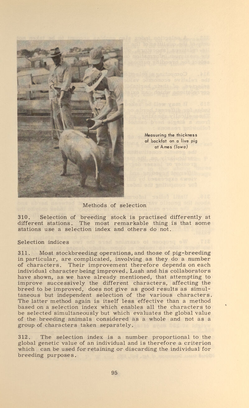 310. Selection of breeding stock is practised differently at different stations. The most remarkable thing is that some stations use a selection index and others do not. Selection indices 311. Most stockbreeding operations, and those of pig-breeding in particular, are complicated, involving as they do a number of characters. Their improvement therefore depends on each individual character being improved. Lush and his collaborators have shown, as we have already mentioned, that attempting to improve successively the different characters, affecting the breed to be improved, does not give as good results as simul¬ taneous but independent selection of the various characters. The latter method again is itself less effective than a method based on a selection index which enables all the characters to be selected simultaneously but which evaluates the global value of the breeding animals considered as a whole and not as a group of characters taken separately. 312. The selection index is a number proportional to the global genetic value of an individual and is therefore a criterion which can be used for retaining or discarding the individual for breeding purposes. 95
