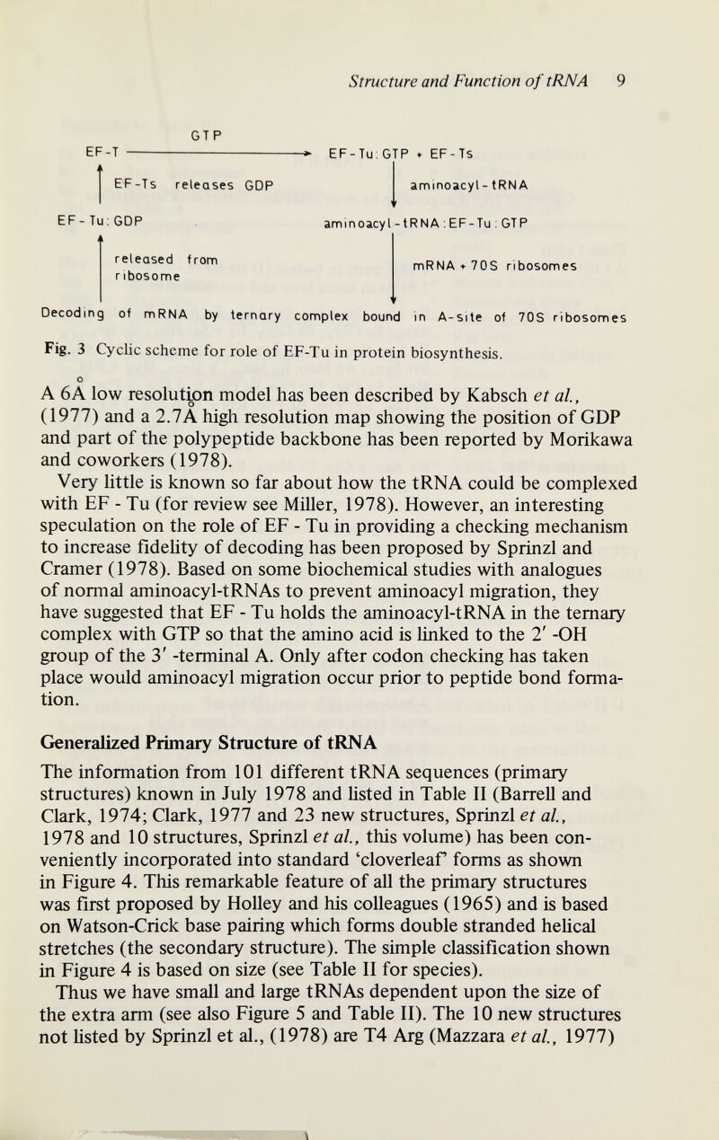 Structure and Function of tRNA 9 GTP EF-T EF-Tu: GTP ♦ EF-Ts EF-Ts releases GDP aminoacyl- tRNA EF- Tu; GDP aminoacyl - tRNA ; EF-Tu : GTP released from ribosome mRNA + 70S ribosomes Decoding of mRNA by ternary complex bound in A-site of 70S ribosomes Fig. 3 Cyclic scheme for role of EF-Tu in protein biosynthesis. A 6A low resolution model has been described by Kabsch et al, (1977) and a 2.1 К high resolution map showing the position of GDP and part of the polypeptide backbone has been reported by Morikawa and coworkers (1978). Very little is known so far about how the tRNA could be complexed with EF - Tu (for review see Miller, 1978). However, an interesting speculation on the role of EF - Tu in providing a checking mechanism to increase fidelity of decoding has been proposed by Sprinzl and Cramer (1978). Based on some biochemical studies with analogues of normal aminoacyl-tRNAs to prevent aminoacyl migration, they have suggested that EF-Tu holds the aminoacyl-tRNA in the ternary complex with GTP so that the amino acid is linked to the 2' -OH group of the 3' -terminal A. Only after codon checking has taken place would aminoacyl migration occur prior to peptide bond forma¬ tion. Generalized Primary Structure of tRNA The information from 101 different tRNA sequences (primary structures) known in July 1978 and listed in Table II (Barrell and Clark, 1974; Clark, 1977 and 23 new structures, Sprinzl et al, 1978 and 10 structures, Sprinzl et al, this volume) has been con¬ veniently incorporated into standard 'cloverleaf forms as shown in Figure 4. This remarkable feature of all the primary structures was first proposed by Holley and his colleagues (1965) and is based on Watson-Crick base pairing which forms double stranded helical stretches (the secondary structure). The simple classification shown in Figure 4 is based on size (see Table II for species). Thus we have small and large tRNAs dependent upon the size of the extra arm (see also Figure 5 and Table II). The 10 new structures not listed by Sprinzl et al., (1978) are T4 Arg (Mazzara et al, 1977) О