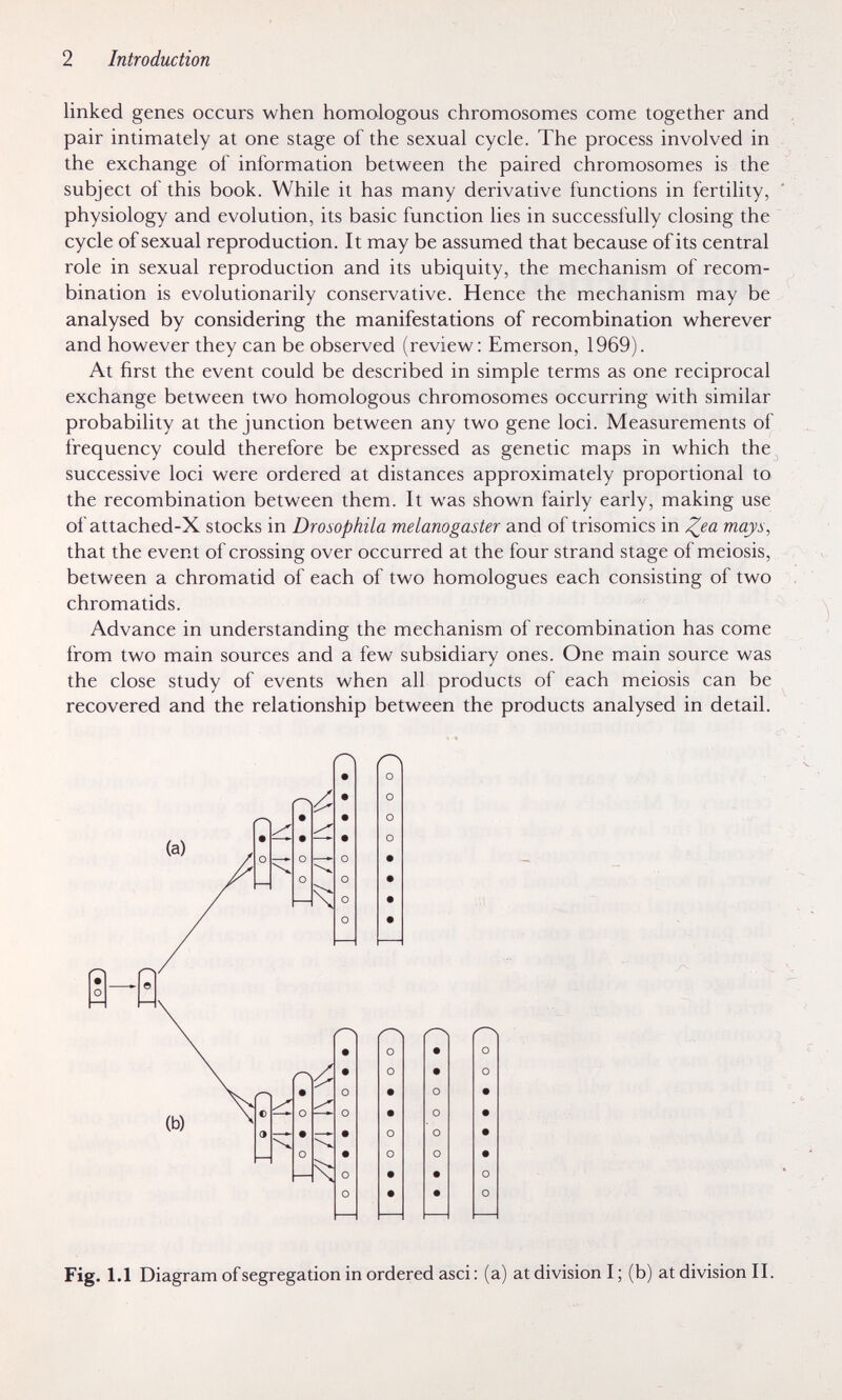 2 Introduction linked genes occurs when homologous chromosomes come together and pair intimately at one stage of the sexual cycle. The process involved in the exchange of information between the paired chromosomes is the subject of this book. While it has many derivative functions in fertility, physiology and evolution, its basic function lies in successfully closing the cycle of sexual reproduction. It may be assumed that because of its central role in sexual reproduction and its ubiquity, the mechanism of recom¬ bination is evolutionarily conservative. Hence the mechanism may be analysed by considering the manifestations of recombination wherever and however they can be observed (review: Emerson, 1969). At first the event could be described in simple terms as one reciprocal exchange between two homologous chromosomes occurring with similar probability at the junction between any two gene loci. Measurements of frequency could therefore be expressed as genetic maps in which the successive loci were ordered at distances approximately proportional to the recombination between them. It was shown fairly early, making use of attached-X stocks in Drosophila melanogaster and of trisomies in ^ea mays, that the event of crossing over occurred at the four strand stage of meiosis, between a chromatid of each of two homologues each consisting of two chromatids. Advance in understanding the mechanism of recombination has come from two main sources and a few subsidiary ones. One main source was the close study of events when all products of each meiosis can be recovered and the relationship between the products analysed in detail. • О О О о ■■ Fig. 1.1 Diagram of segregation in ordered asci : (a) at division I ; (b) at division II.