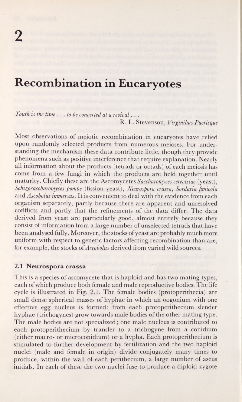 2 Recombination in Eucaryotes Touth is the time . . . to be converted at a revival. . . R. L. Stevenson, Virginibus Puerisque Most observations of meiotic recombination in eucaryotes have relied upon randomly selected products from numerous meioses. For under¬ standing the mechanism these data contribute little, though they provide phenomena such as positive interference that require explanation. Nearly all information about the products (tetrads or octads) of each meiosis has come from a few fungi in which the products are held together until maturity. Chiefly these are the Ascomycetes Saccharomyces cerevisiae (yeast), Schizosaccharomyces pombe (fission yeast), Neurospora crassa, Sordaria fimicola and Ascobolus immersus. It is convenient to deal with the evidence from each organism separately, partly because there are apparent and unresolved conflicts and partly that the refinements of the data differ. The data derived from yeast are particularly good, almost entirely because they consist of information from a large number of unselected tetrads that have been analysed fully. Moreover, the stocks of yeast are probably much more uniform with respect to genetic factors affecting recombination than are, for example, the stocks oï Ascobolus derived from varied wild sources. 2.1 Neurospora crassa This is a species of ascomycete that is haploid and has two mating types, each of which produce both female and male reproductive bodies. The life cycle is illustrated in Fig. 2.1. The female bodies (protoperithecia) are small dense spherical masses of hyphae in which an oogonium with one effective egg nucleus is formed; from each protoperithecium slender hyphae (trichogynes) grow towards male bodies of the other mating type. The male bodies are not specialized; one male nucleus is contributed to each protoperithecium by transfer to a trichogyne from a conidium (either macro- or microconidium) or a hypha. Each protoperithecium is stimulated to further development by fertilization and the two haploid nuclei (male and female in origin) divide conjugately many times to produce, within the wall of each perithecium, a large number of ascus initials. In each of these the two nuclei fuse to produce a diploid zygote