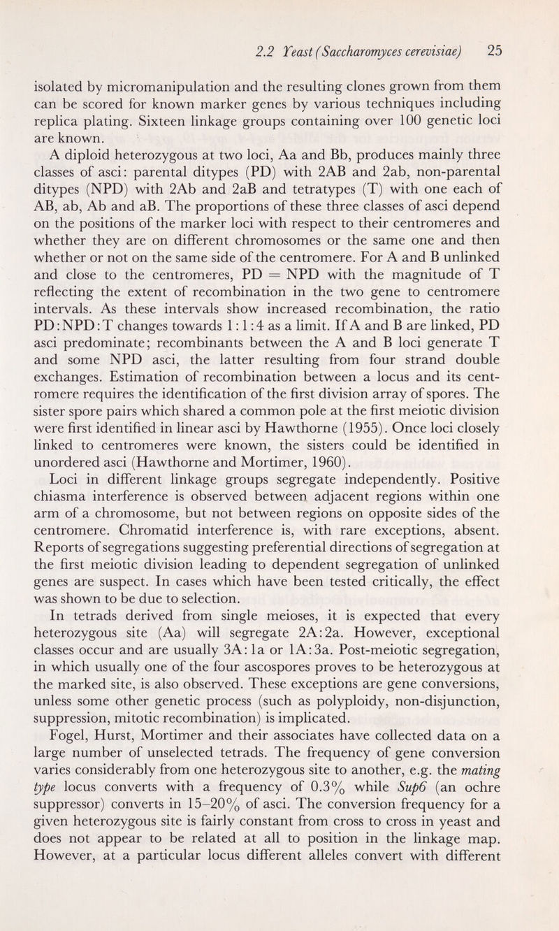 2.2 Yeast (Saccharomyces cerevisiae) 25 isolated by micromanipulation and the resulting clones grown from them can be scored for known marker genes by various techniques including replica plating. Sixteen linkage groups containing over 100 genetic loci are known. A diploid heterozygous at two loci, Aa and Bb, produces mainly three classes of asci: parental ditypes (PD) with 2AB and 2ab, non-parental ditypes (NPD) with 2Ab and 2aB and tetratypes (T) with one each of AB, ab. Ab and аВ. The proportions of these three classes of asci depend on the positions of the marker loci with respect to their centromeres and whether they are on different chromosomes or the same one and then whether or not on the same side of the centromere. For A and В unlinked and close to the centromeres, PD = NPD with the magnitude of T reflecting the extent of recombination in the two gene to centromere intervals. As these intervals show increased recombination, the ratio PD : NPD : T changes towards 1:1:4 as a limit. If A and В are linked, PD asci predominate; recombinants between the A and В loci generate T and some NPD asci, the latter resulting from four strand double exchanges. Estimation of recombination between a locus and its cent¬ romere requires the identification of the first division array of spores. The sister spore pairs which shared a common pole at the first meiotic division were first identified in linear asci by Hawthorne (1955). Once loci closely linked to centromeres were known, the sisters could be identified in unordered asci (Hawthorne and Mortimer, 1960). Loci in dififerent linkage groups segregate independently. Positive chiasma interference is observed between adjacent regions within one arm of a chromosome, but not between regions on opposite sides of the centromere. Chromatid interference is, with rare exceptions, absent. Reports of segregations suggesting preferential directions of segregation at the first meiotic division leading to dependent segregation of unlinked genes are suspect. In cases which have been tested critically, the efifect was shown to be due to selection. In tetrads derived from single meioses, it is expected that every heterozygous site (Aa) will segregate 2A:2a. However, exceptional classes occur and are usually ЗА: la or lA:3a. Post-meiotic segregation, in which usually one of the four ascospores proves to be heterozygous at the marked site, is also observed. These exceptions are gene conversions, unless some other genetic process (such as polyploidy, non-disjunction, suppression, mitotic recombination) is implicated. Fogel, Hurst, Mortimer and their associates have collected data on a large number of unselected tetrads. The frequency of gene conversion varies considerably from one heterozygous site to another, e.g. the mating type locus converts with a frequency of 0.3% while Sup6 (an ochre suppressor) converts in 15-20% of asci. The conversion frequency for a given heterozygous site is fairly constant from cross to cross in yeast and does not appear to be related at all to position in the linkage map. However, at a particular locus different alleles convert with dififerent