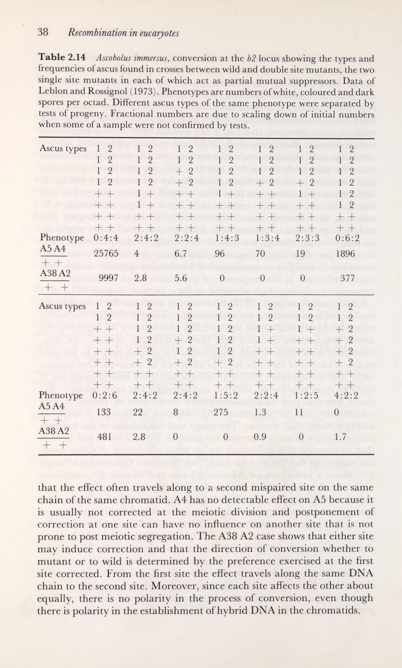 38 Recombination in eucaryotes Table 2.14 Ascobolus immersus, conversion at the b2 locus showing the types and frequencies of ascus found in crosses between wild and double site mutants, the two single site mutants in each of which act as partial mutual suppressors. Data of Leblon and Rossignol (1973). Phenotypes are numbers of white, coloured and dark spores per octad. Different ascus types of the same phenotype were separated by tests of progeny. Fractional numbers are due to scaling down of initial numbers when some of a sample were not confirmed by tests. + + that the effect often travels along to a second mispaired site on the same chain of the same chromatid. A4 has no detectable effect on A5 because it is usually not corrected at the meiotic division and postponement of correction at one site can have no influence on another site that is not prone to post meiotic segregation. The A38 A2 case shows that either site may induce correction and that the direction of conversion whether to mutant or to wild is determined by the preference exercised at the first site corrected. From the first site the effect travels along the same DNA chain to the second site. Moreover, since each site affects the other about equally, there is no polarity in the process of conversion, even though there is polarity in the establishment of hybrid DNA in the chromatids.